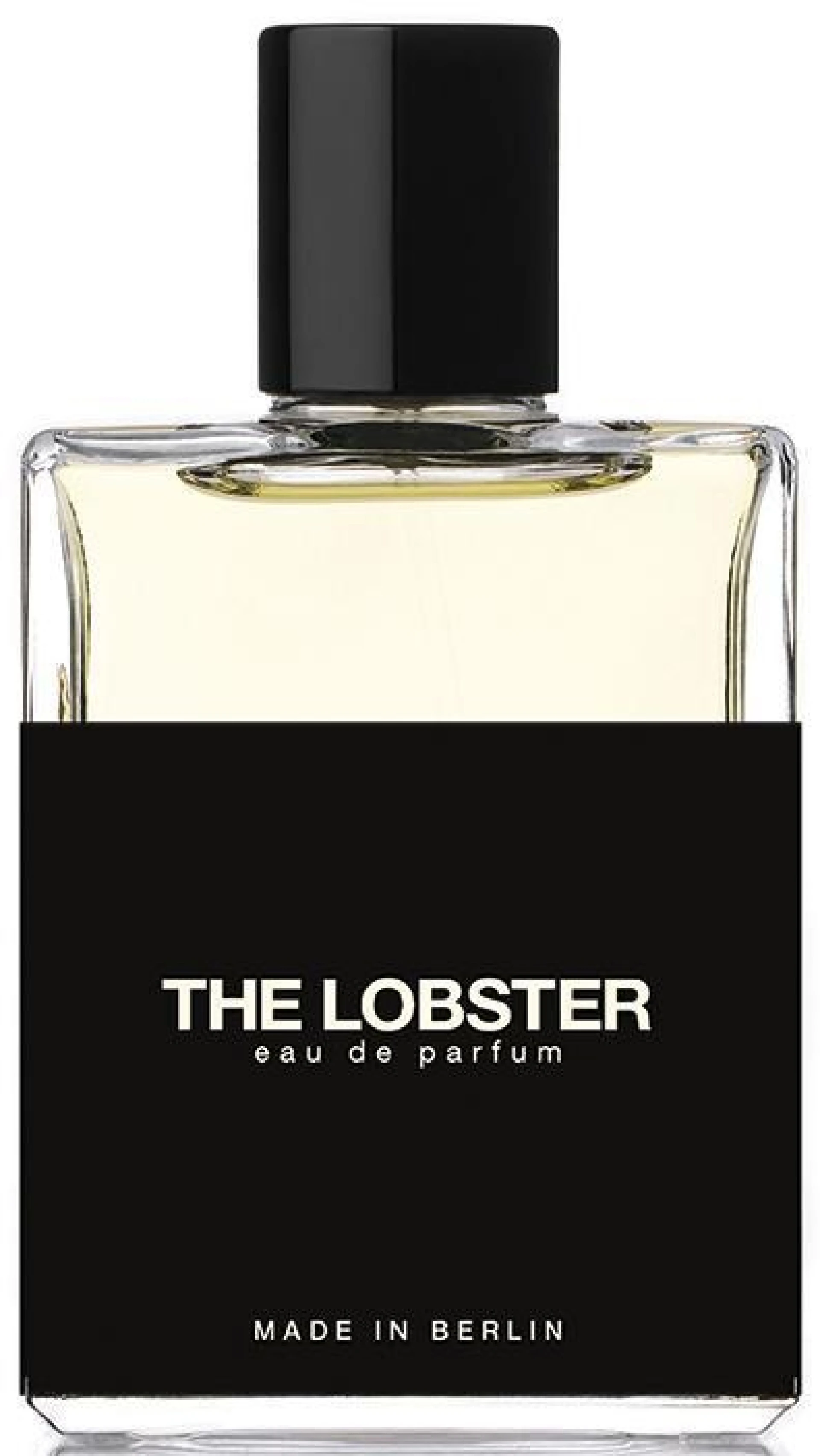 Moth and Rabbit The Lobster EDP