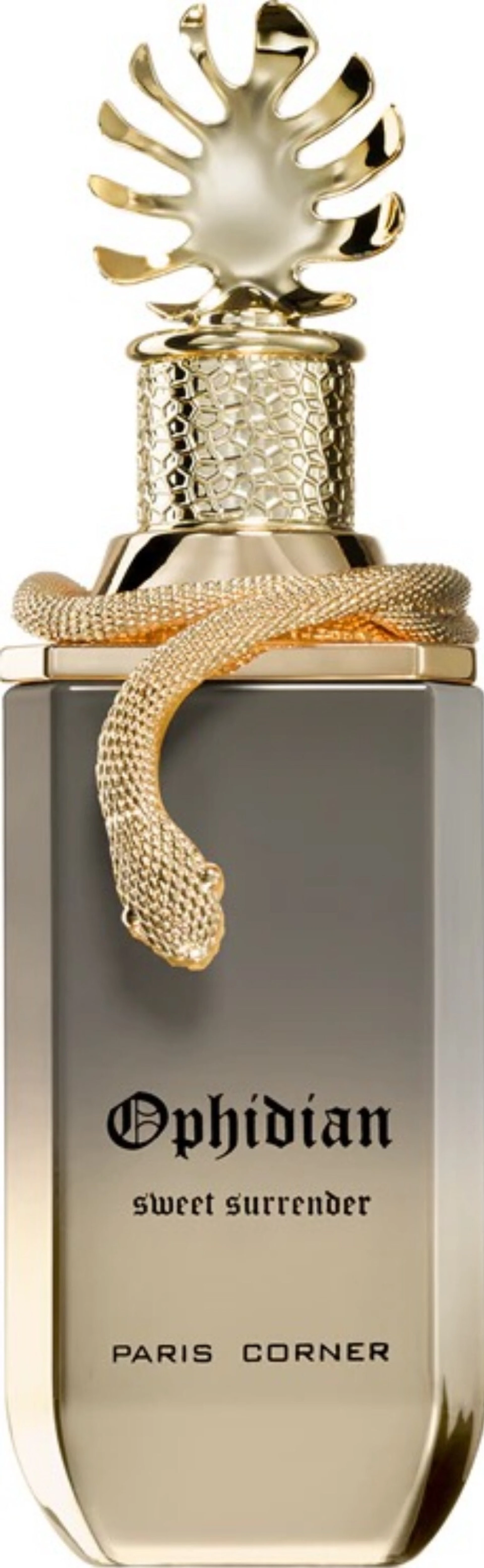 Paris Corner Ophidian Sweet Surrender EDP