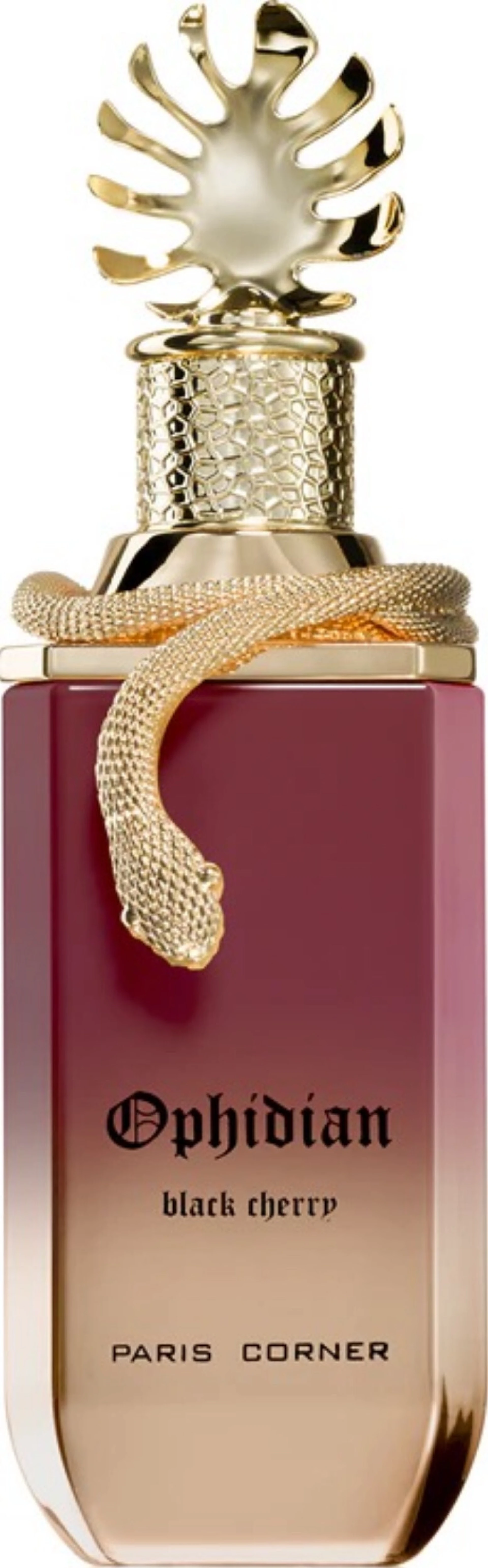 Paris Corner Ophidian Black Cherry EDP