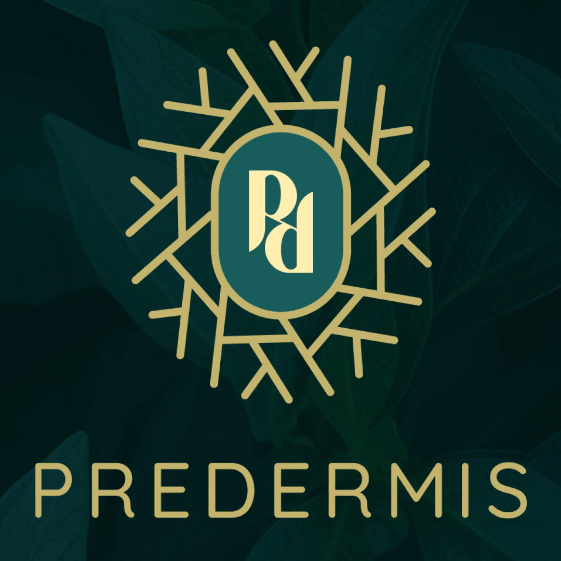 Predermis