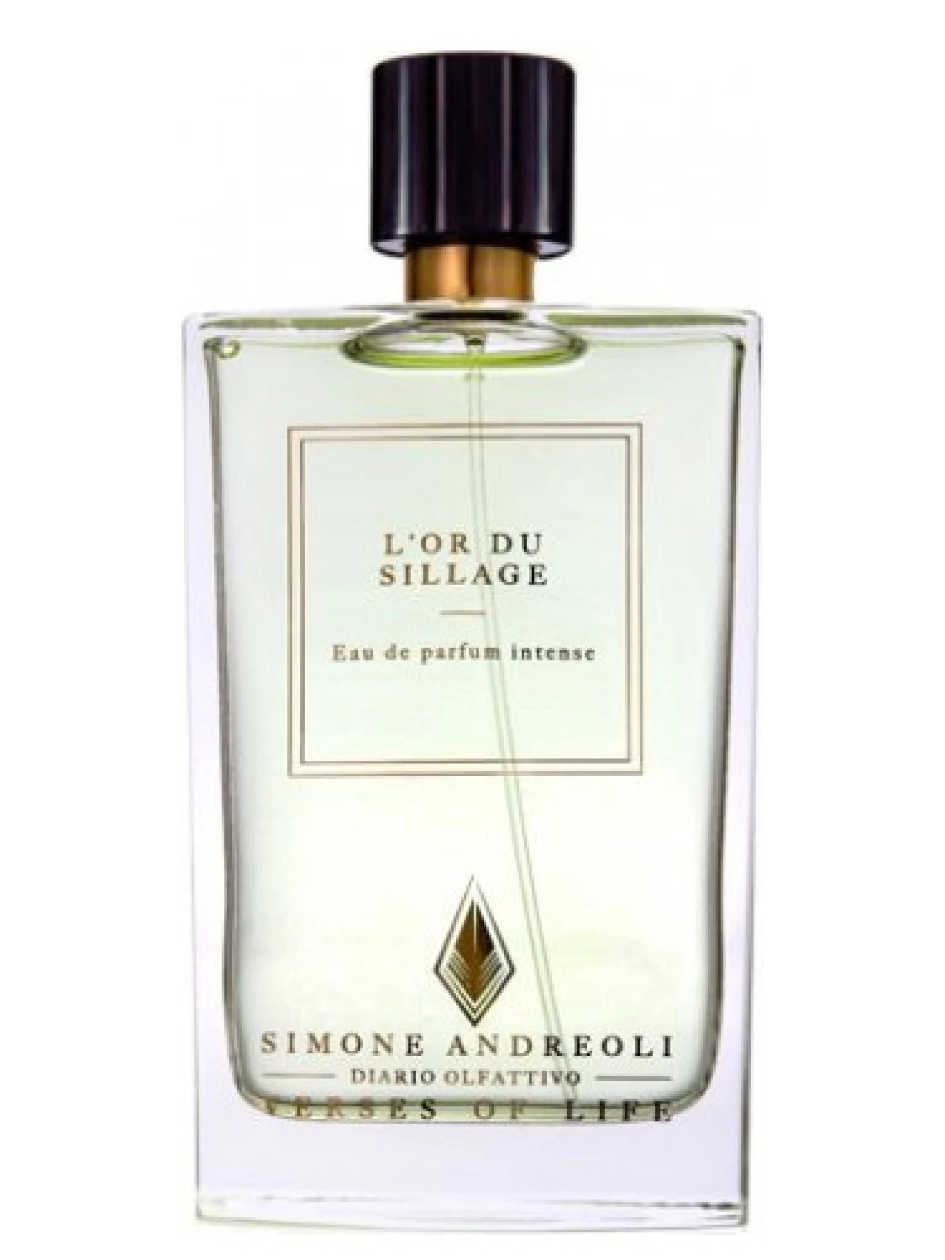 Simone Andreoli L'or du Sillage