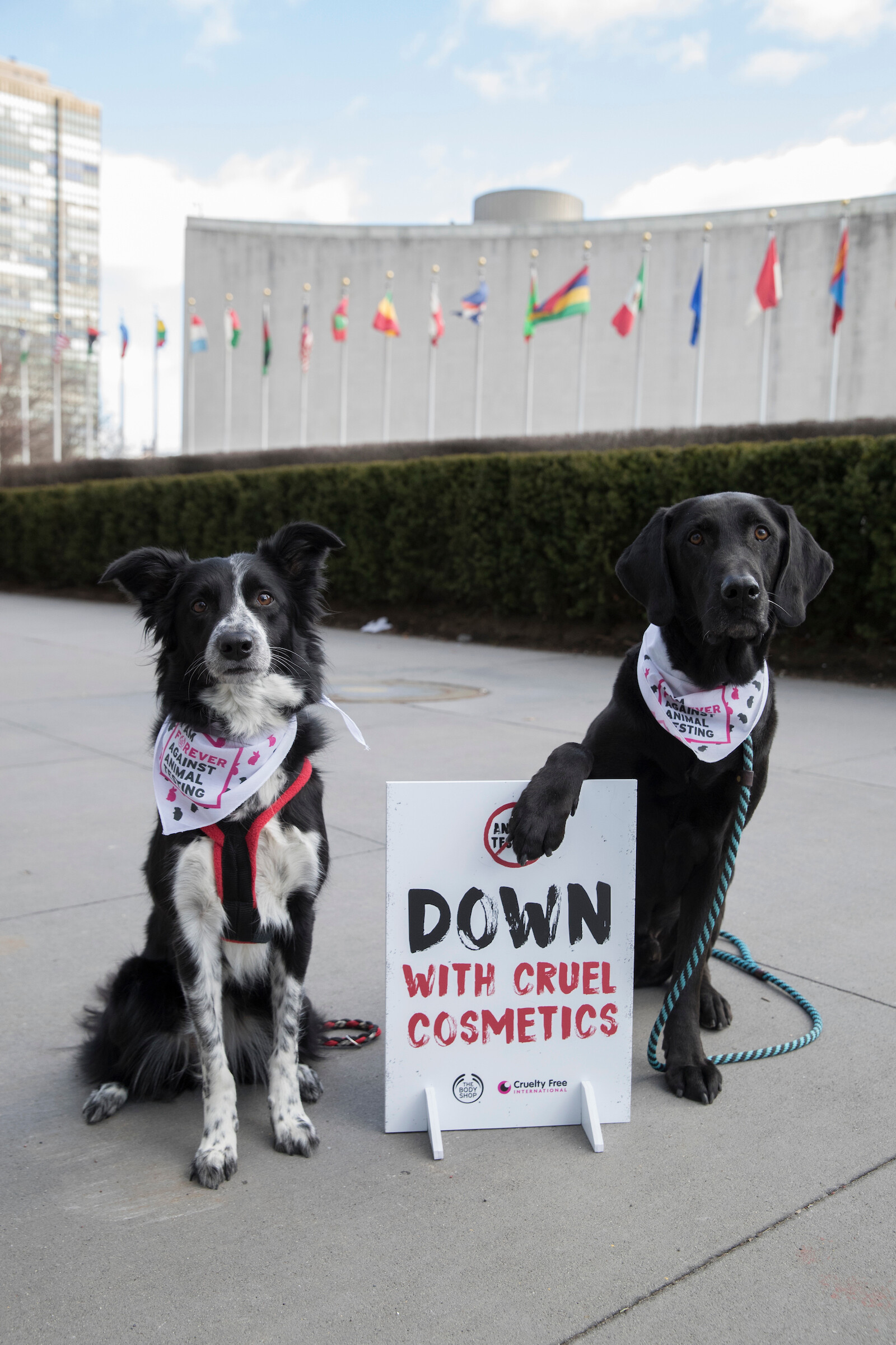 A The Body Shop és a Cruelty Free International több mint 8 millió petíció aláírást vitt az ENSZ elé (X)