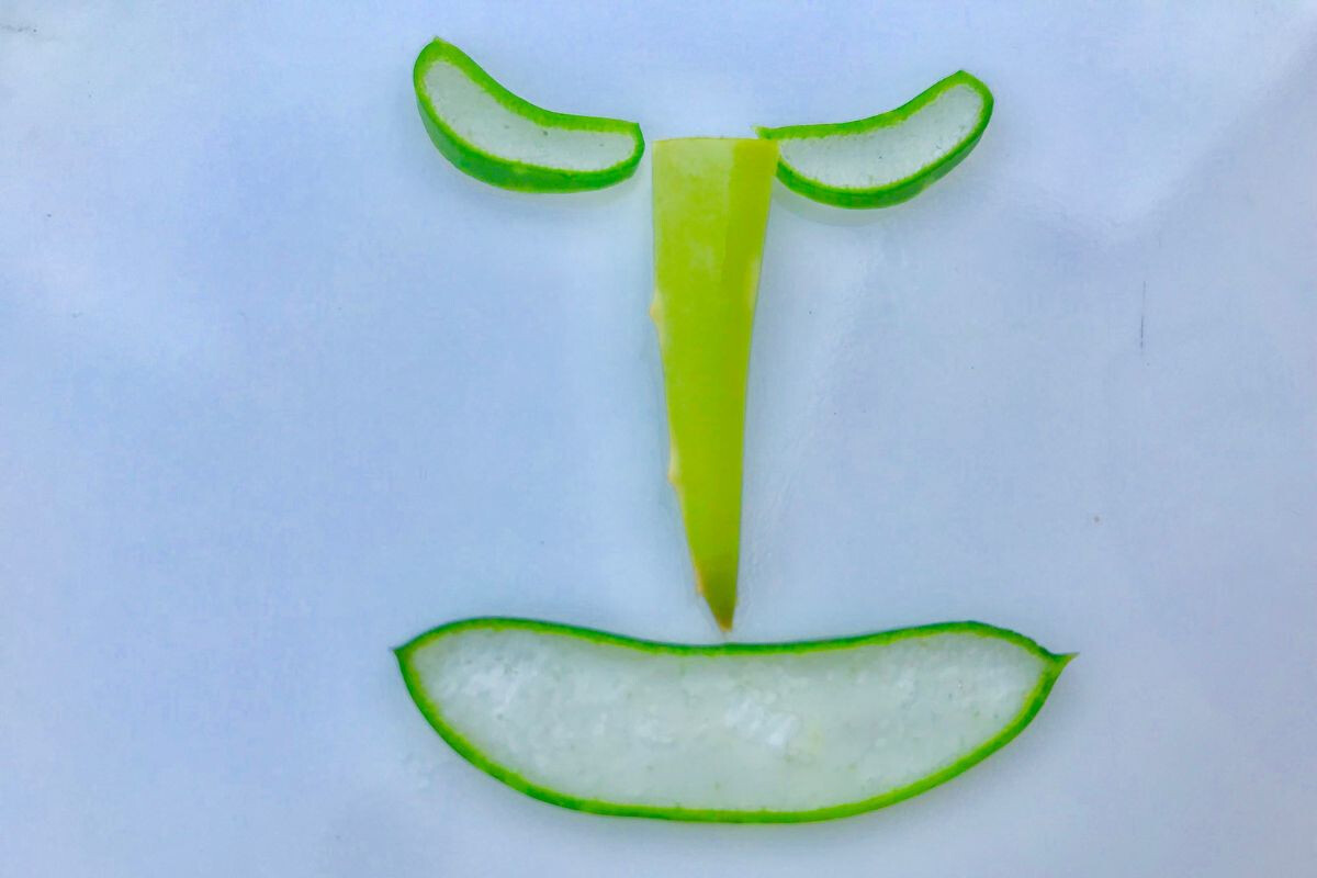 Mégsem tesz olyan jót a bőrnek az aloe vera?