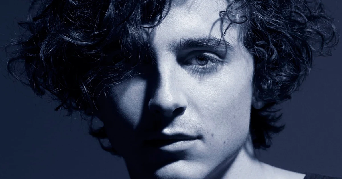 Timothée Chalamet új szerepben