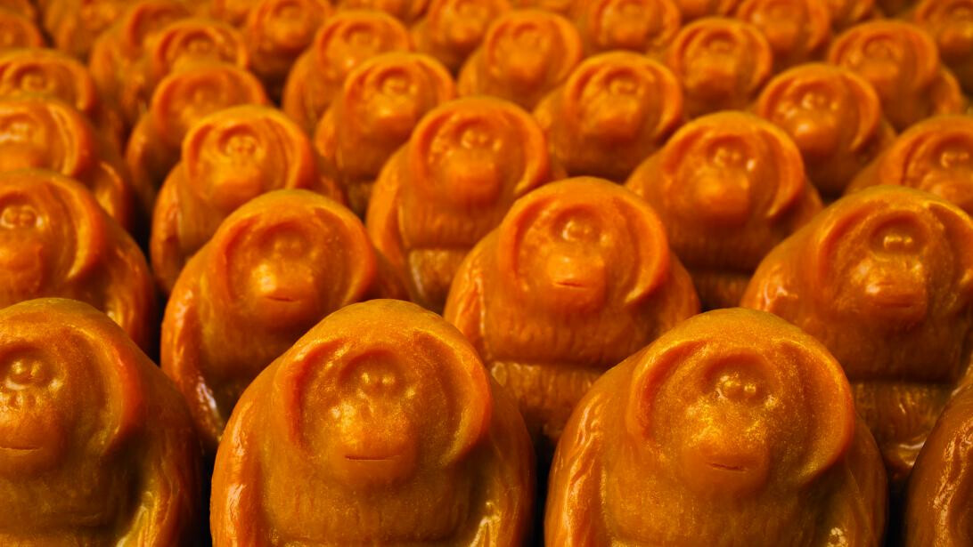 Ha elfogynak, örökre eltűnnek (X)