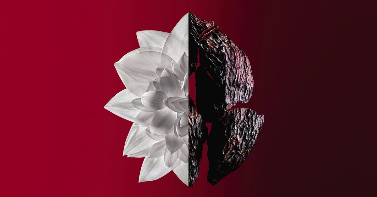 A Givenchy vörös története – Ismerd meg a couture merész oldalát és illatát