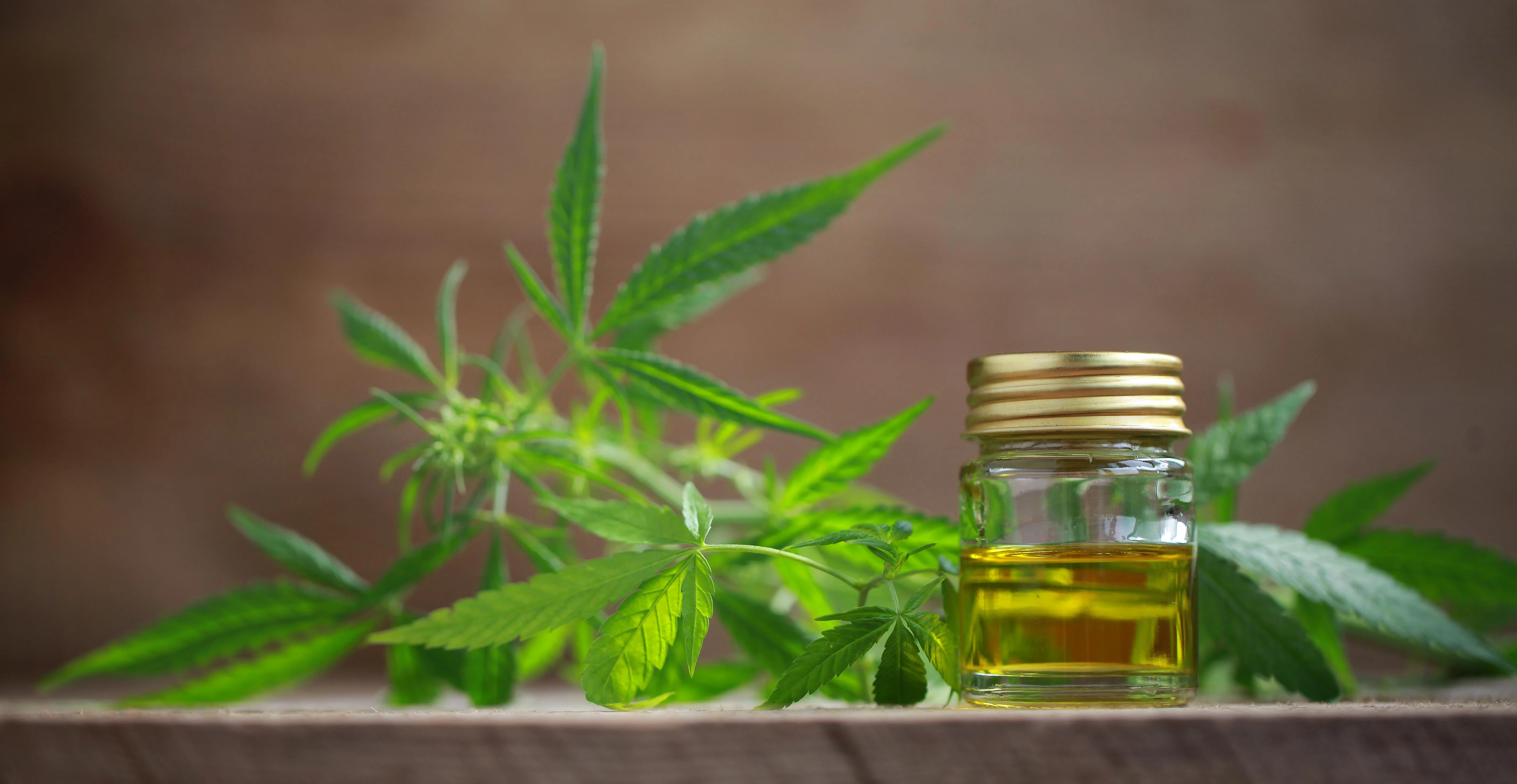 A cannabis tartalmú kozmetikumoknak áll a jövő