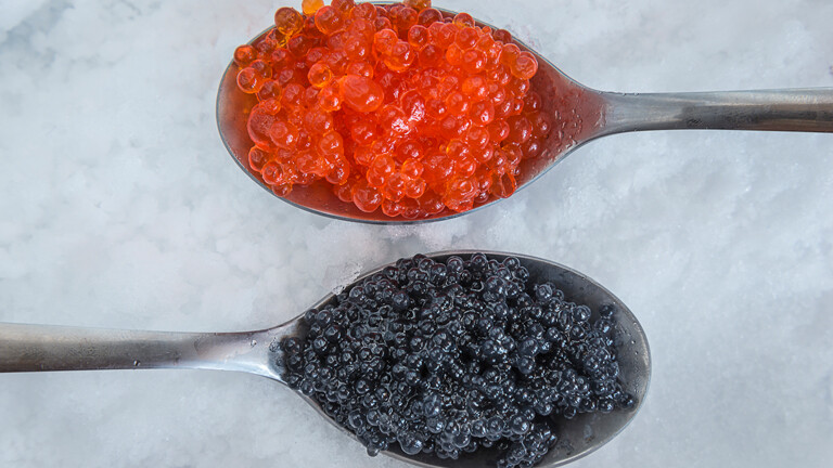 Az érzékeny bőr megmentője lehet a lazac