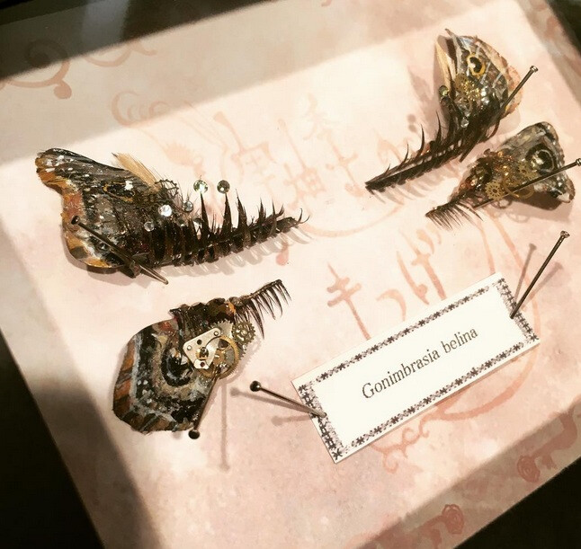 Műszempilla-őrület Japánból, ami épp annyira elkeserítő, mint amennyire látványos