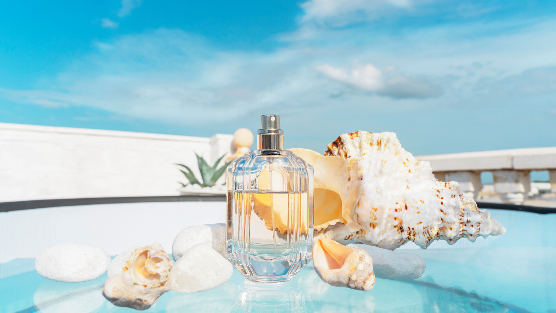 Legnépszerűbb illatjegyek nyárra + tippek, hogyan válassz parfümöt hőség idejére
