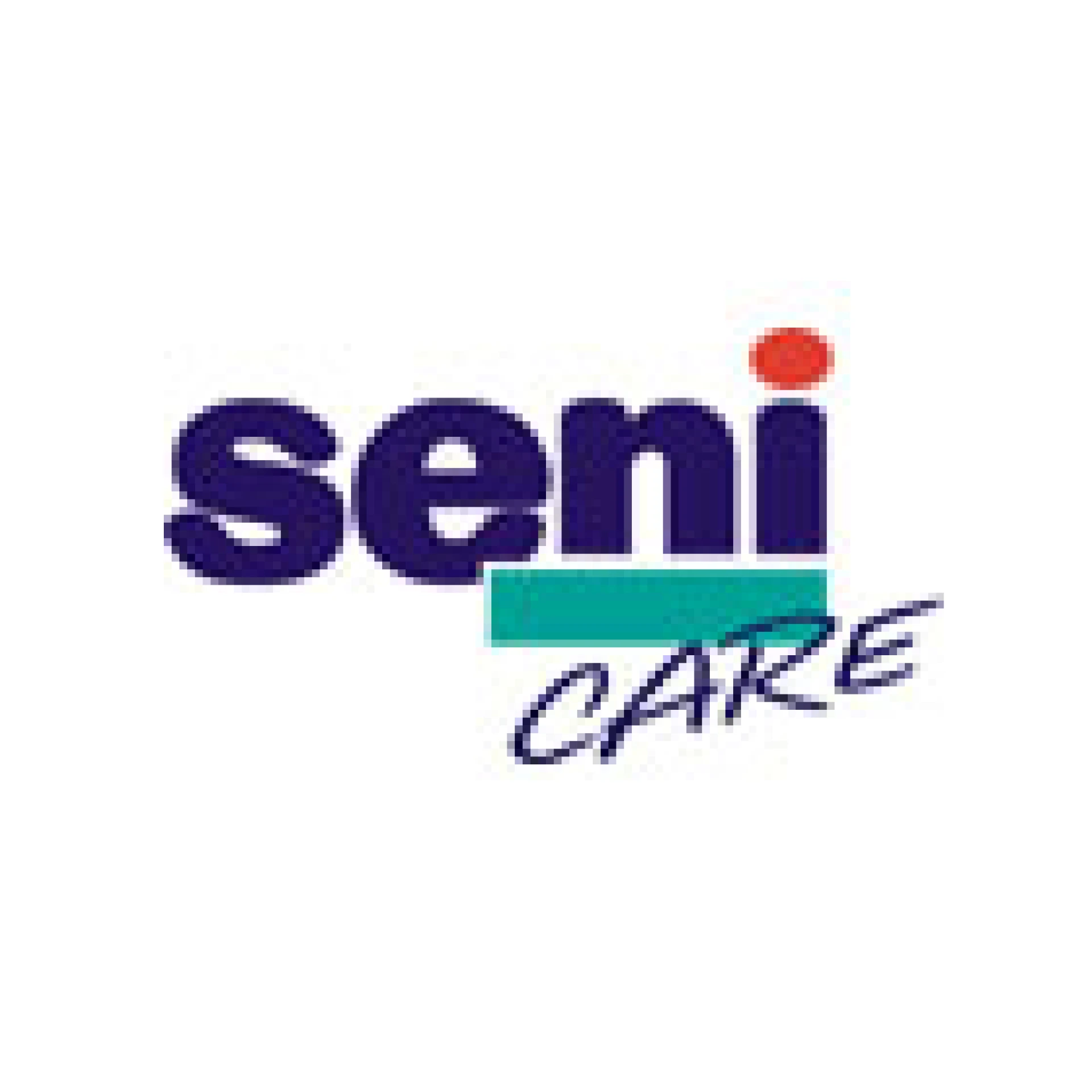Seni