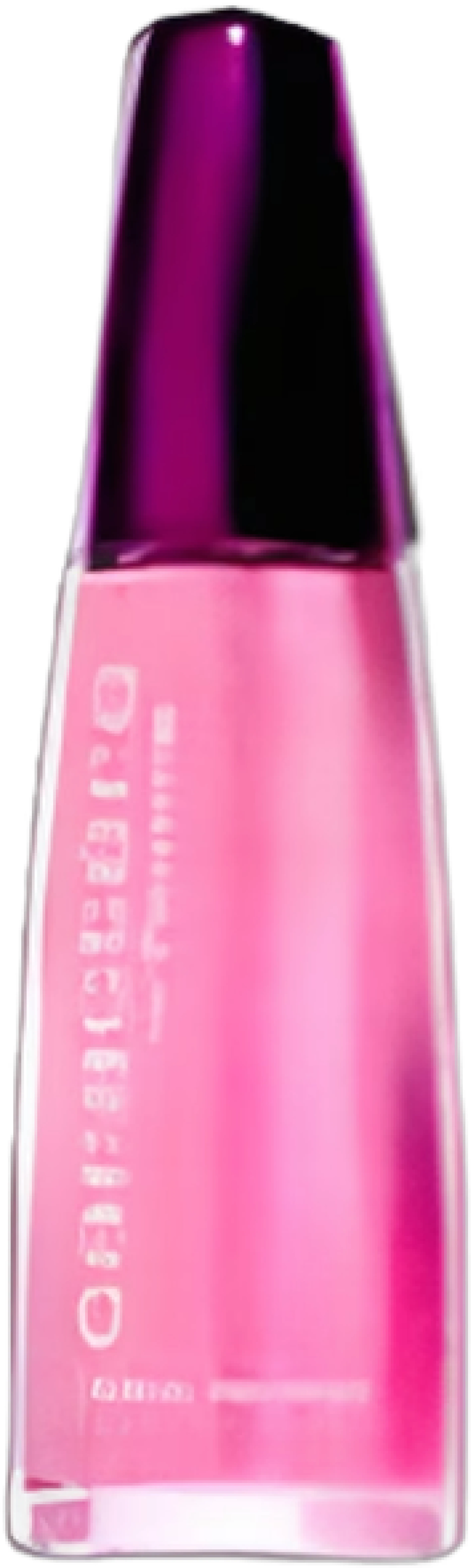 Daniel Hechter Caractere de Femme EDP