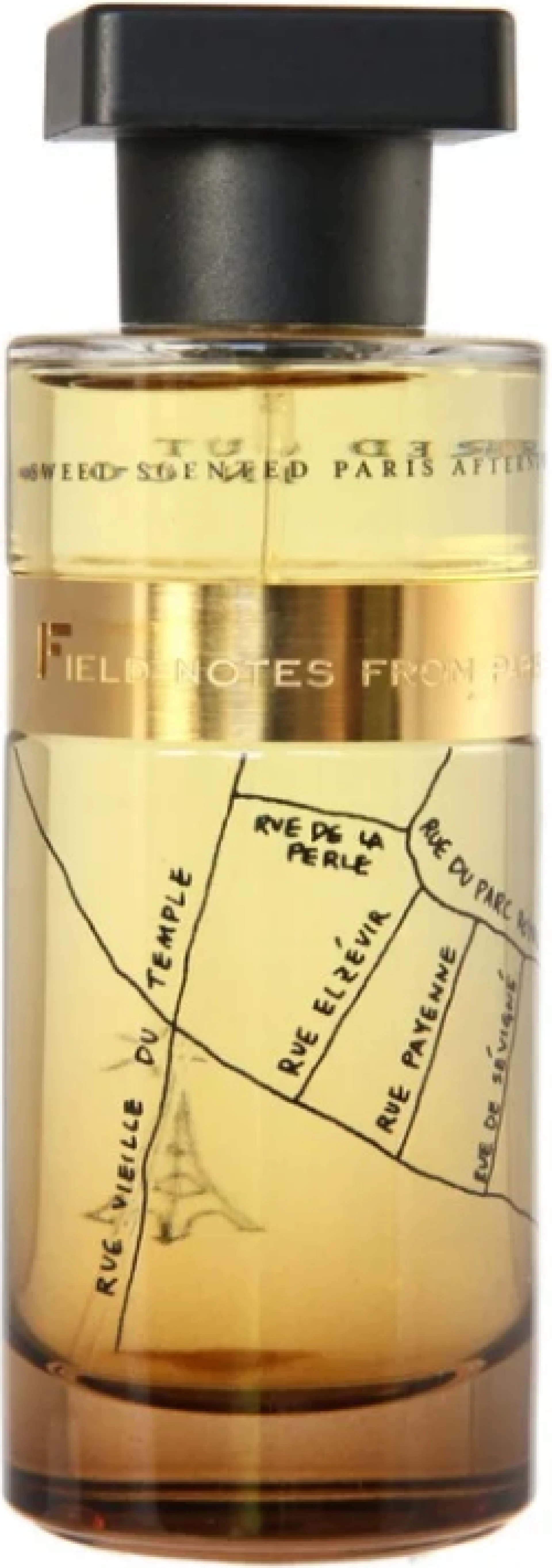 Ineke Field Notes From Paris EDP