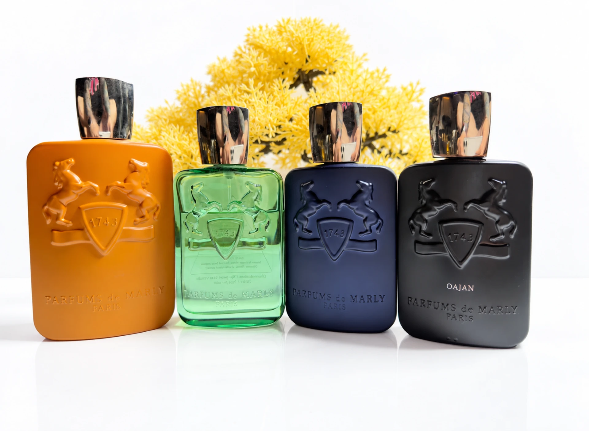 Parfums De Marley Oajan