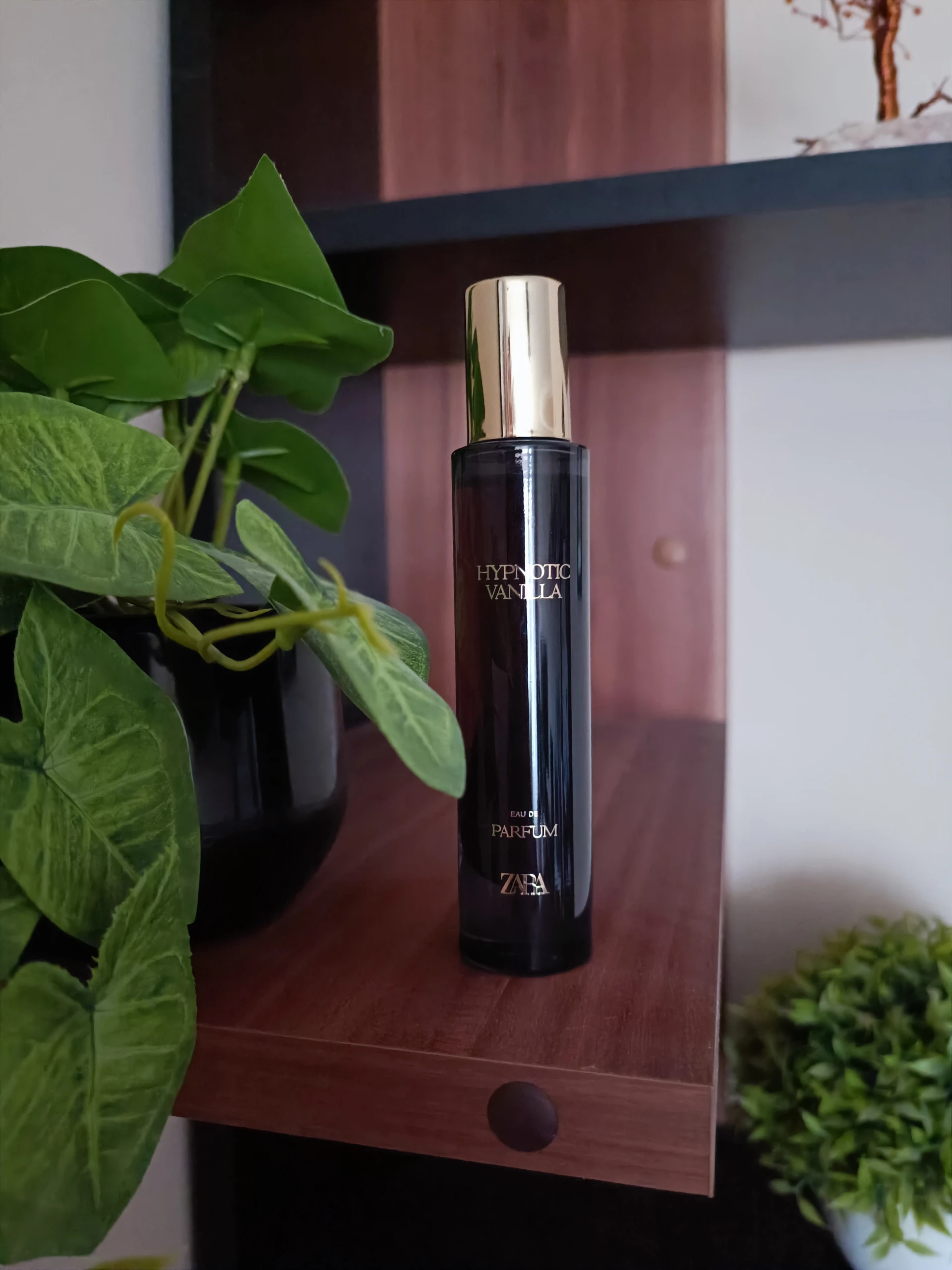 Zara - Hypnotic Vanilla