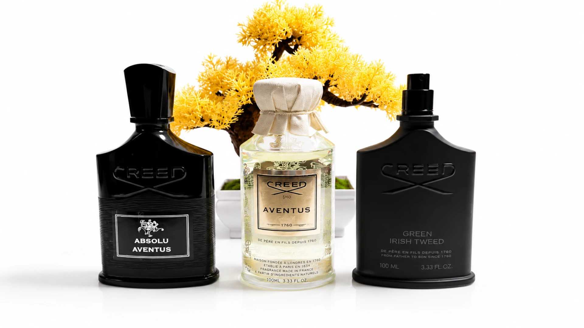Creed Absolu aventus