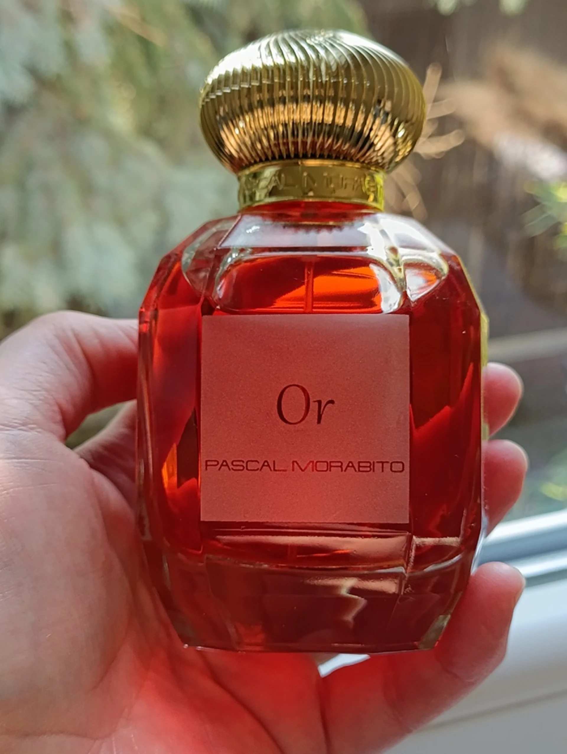 Pascal Morabito Sultan Or EDP