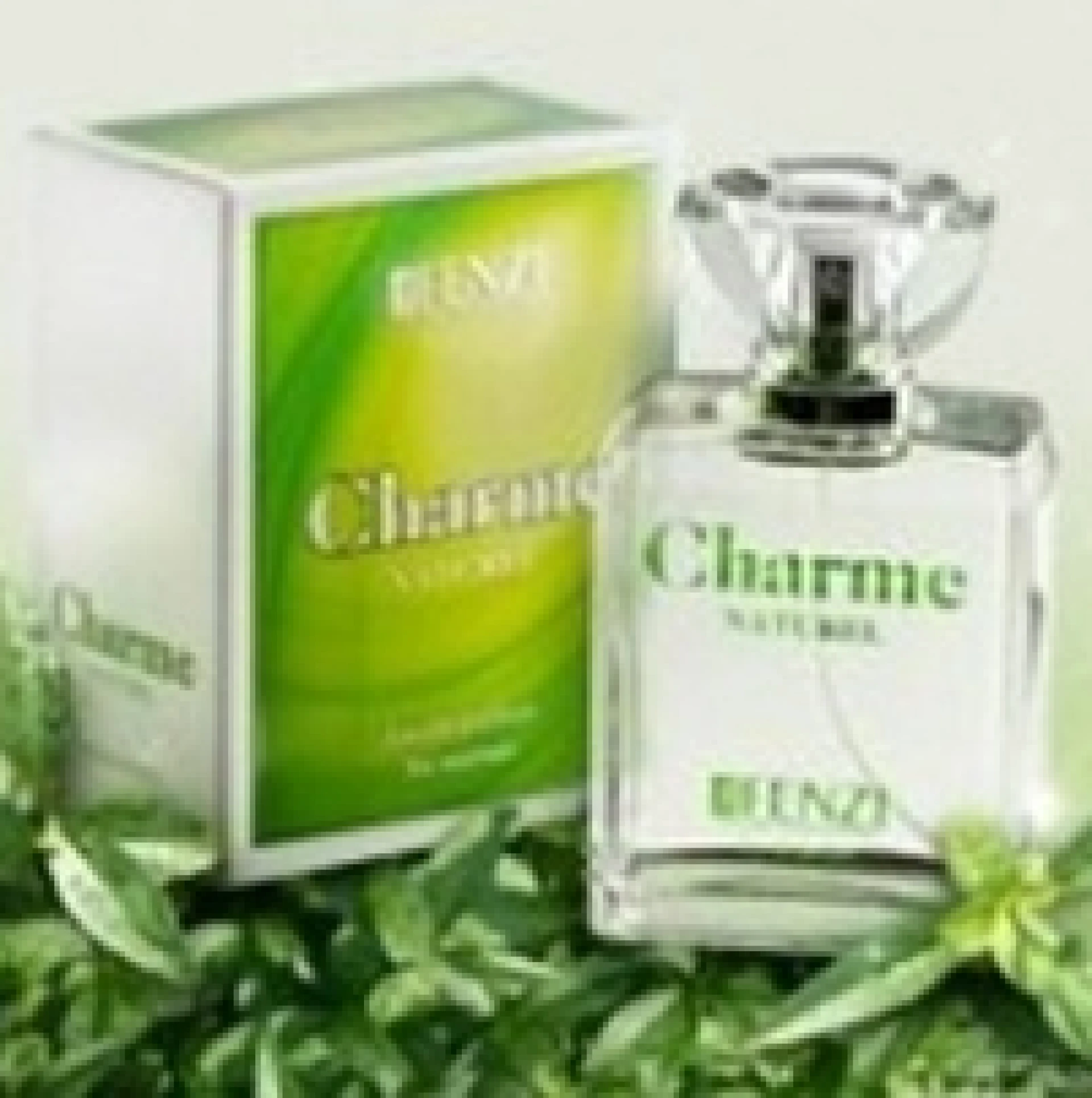 J. Fenzi Charme Naturel EDP