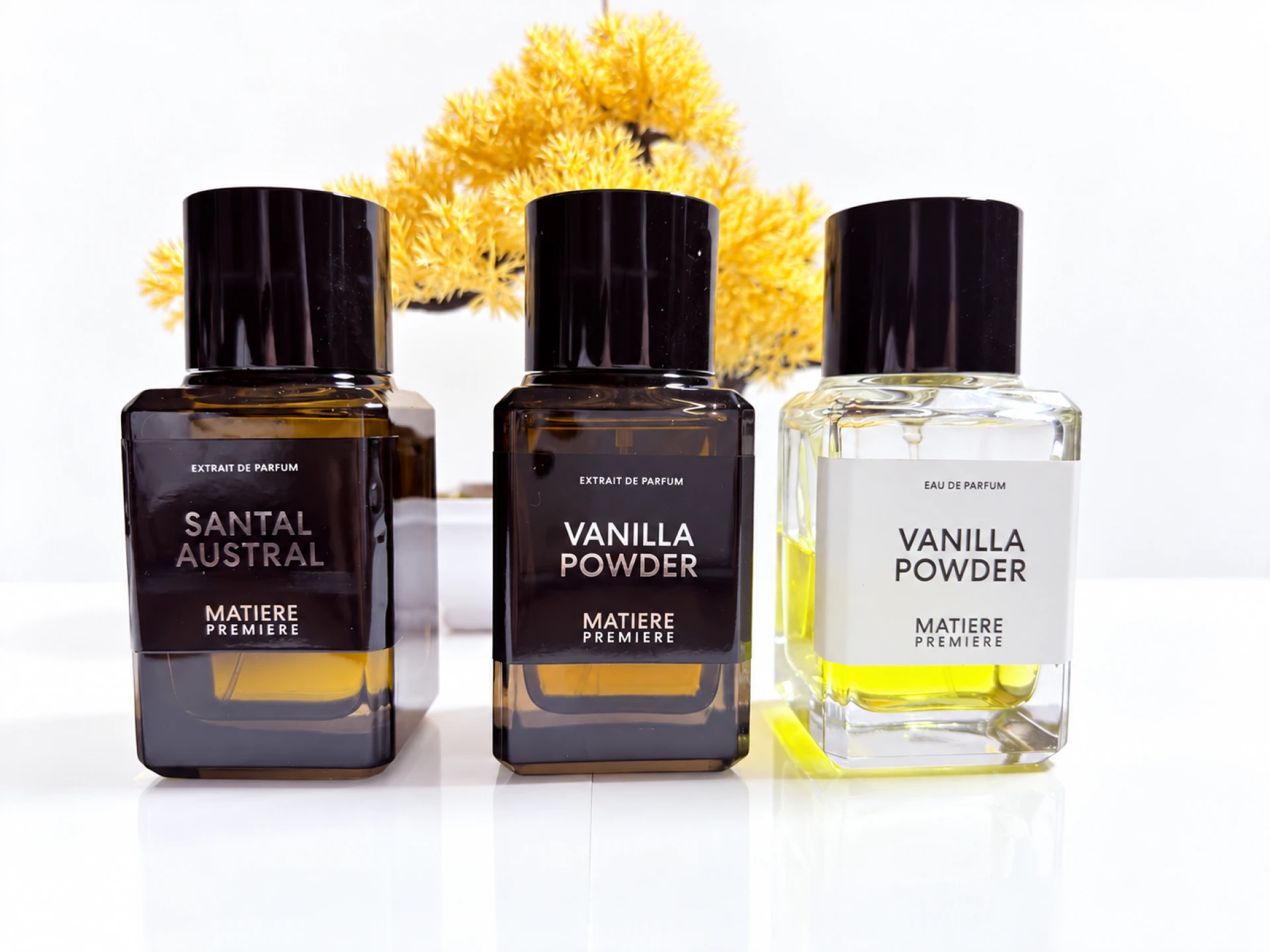 Matiere Premiere Santal Austral extrait