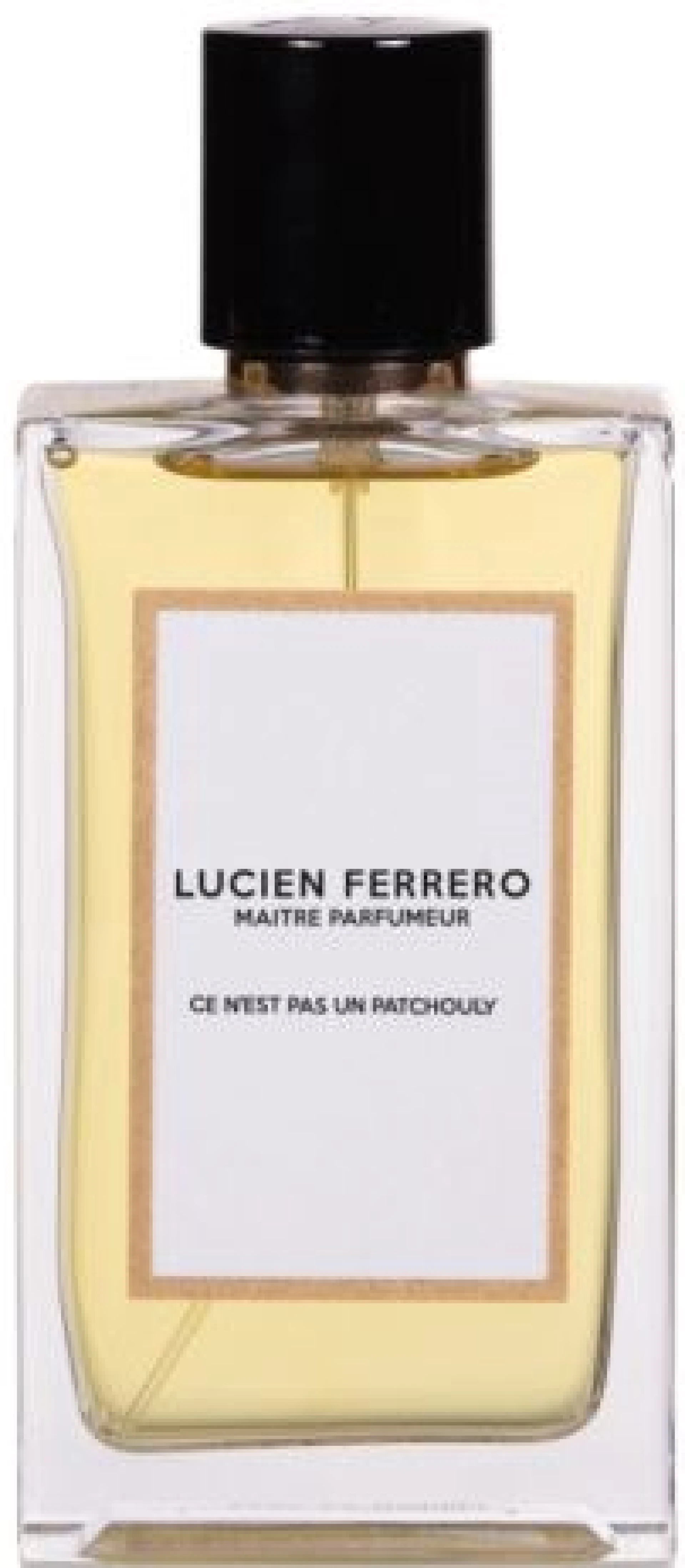 Lucien Ferrero Ce N'est Pas Un Patchouly EDP