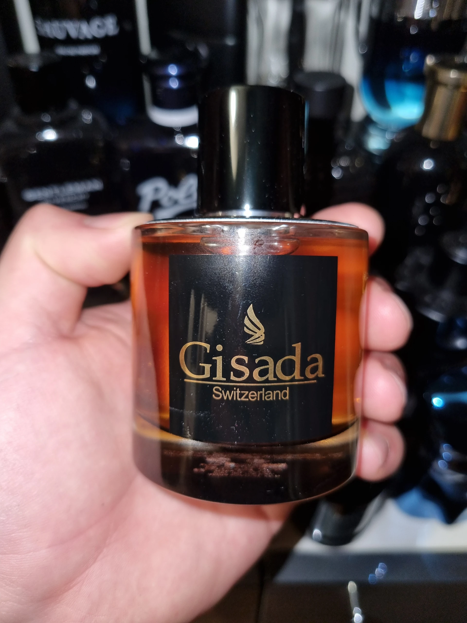 Gisada – Ambassador Dekant