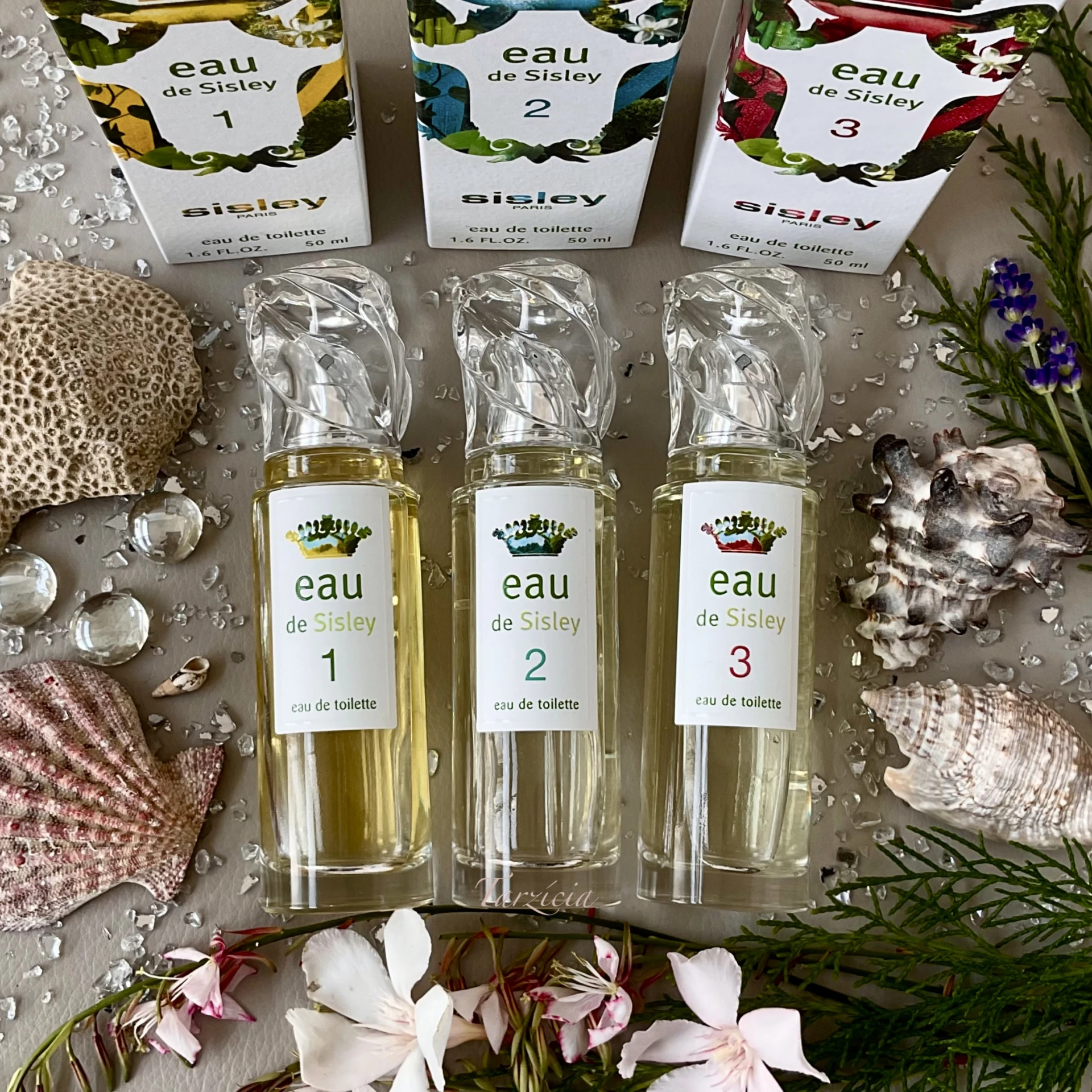RITKASÁG - Sisley Eau de Sisley 1-2-3 EDT 🍋🌿🪷
