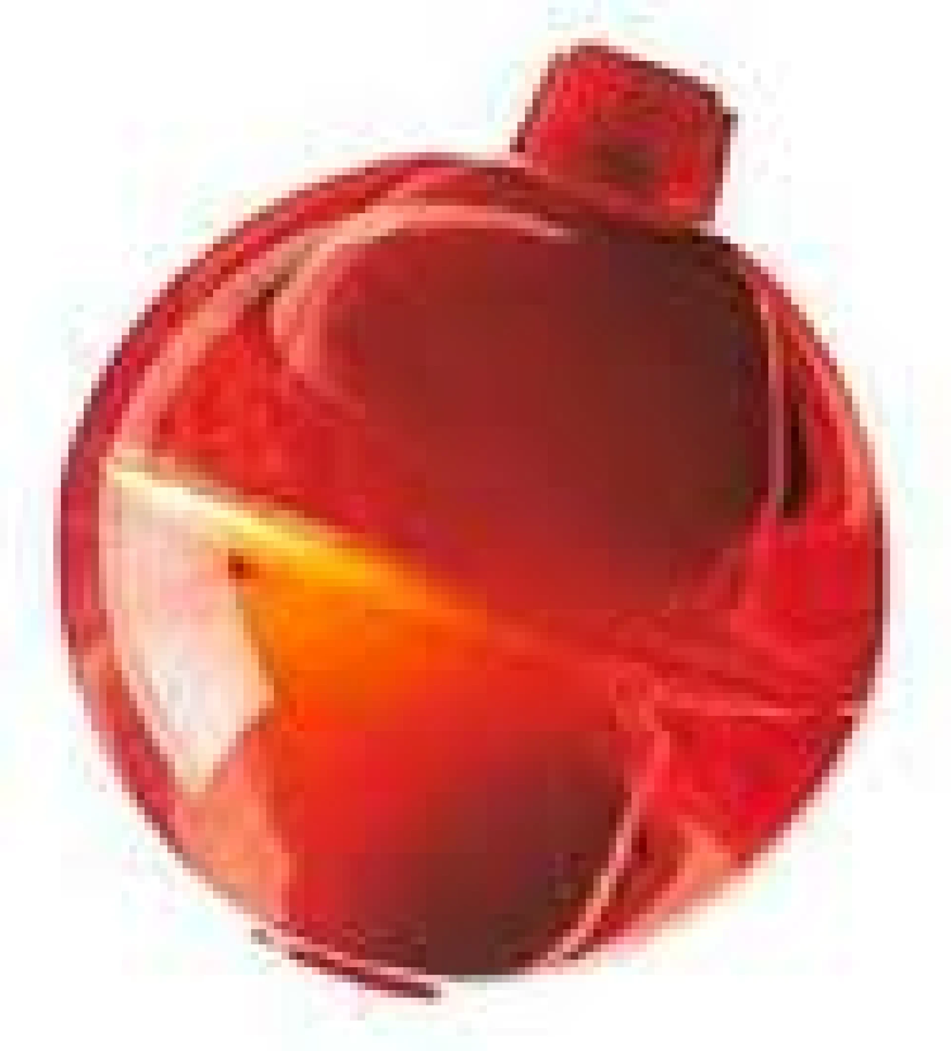Issey Miyake Le Feu D'issey