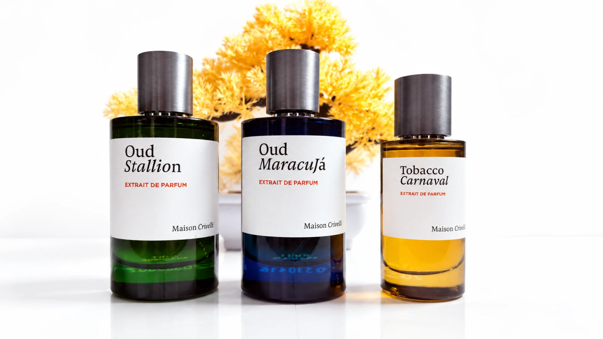 Maison Crivelli Oud Stallion