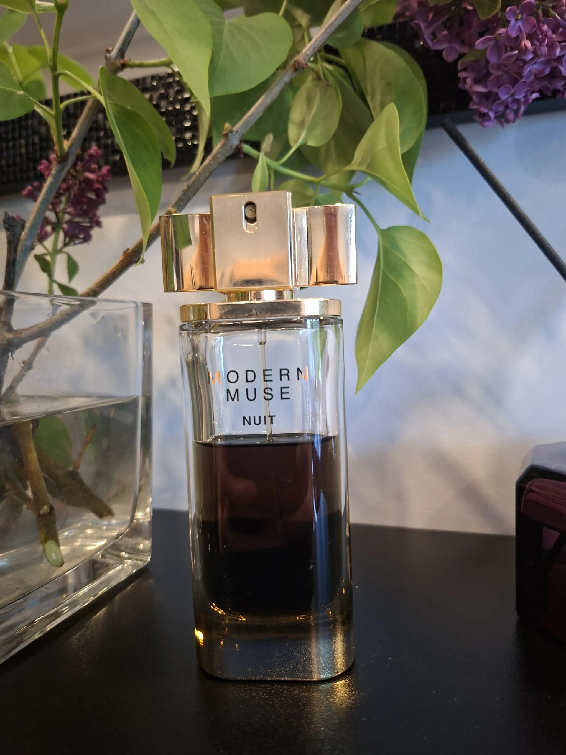Estée Lauder Modern Muse Nuit