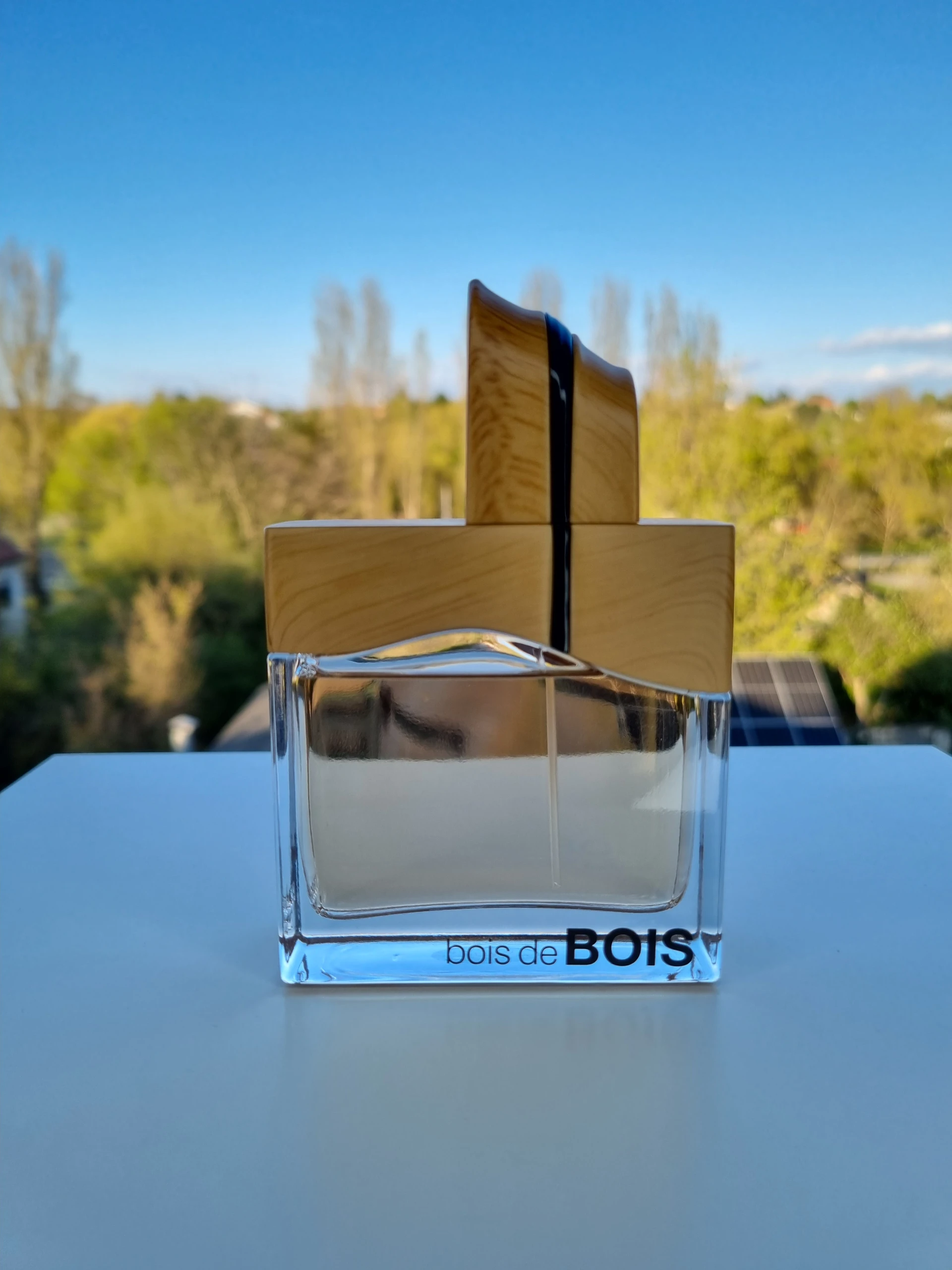 Fragrance World – Bois de Bois Dekant