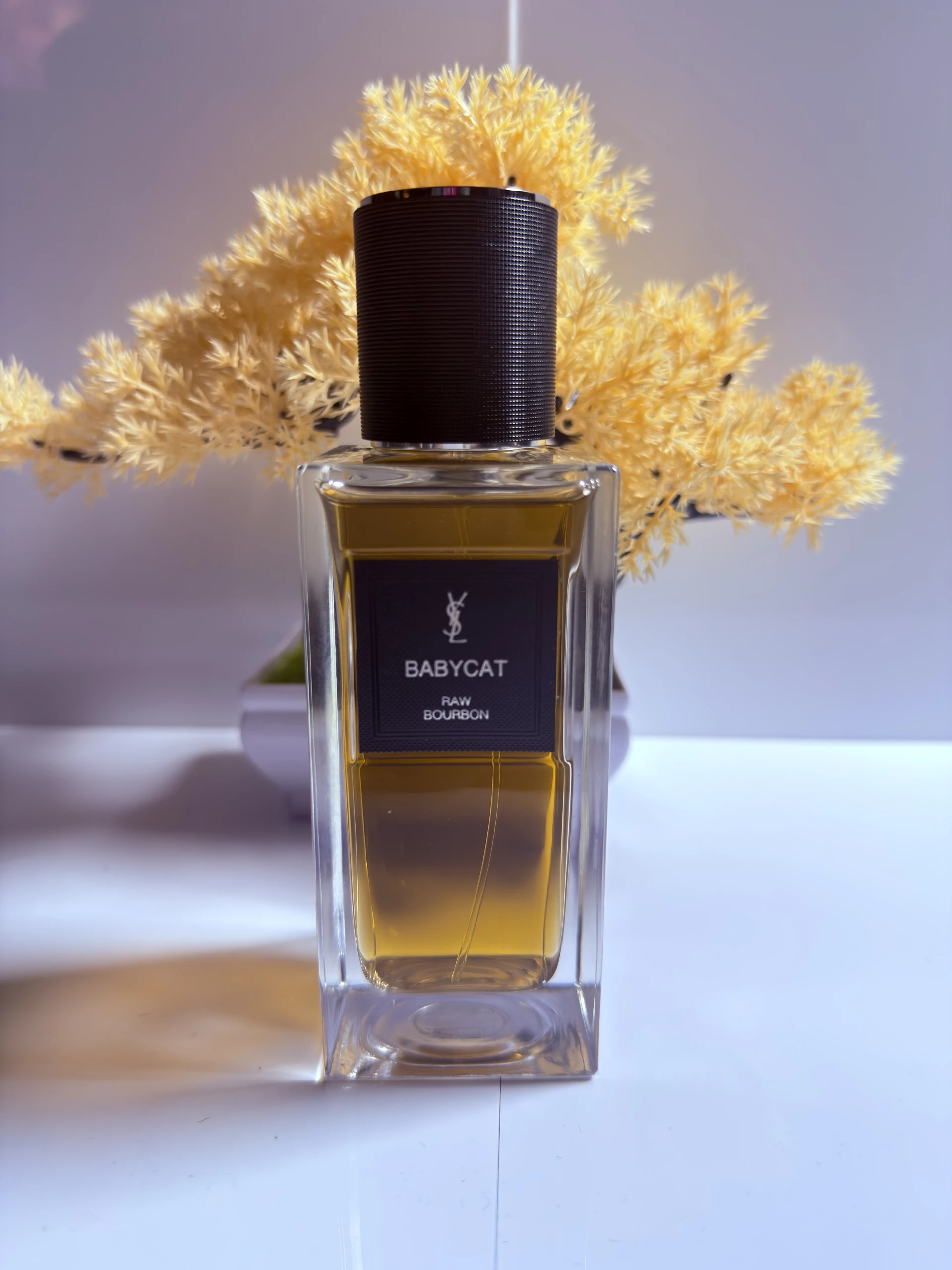Ysl Babycat Raw Bourbon