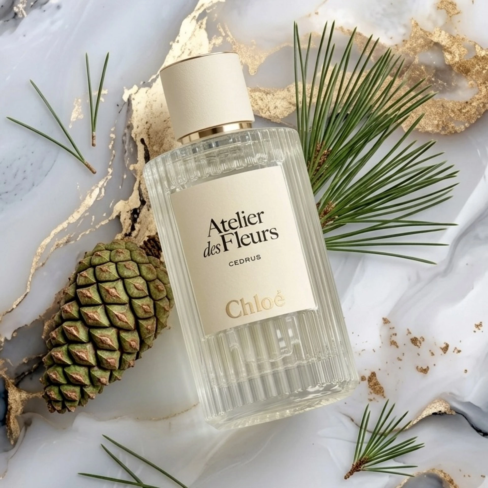 Chloé Atelier des Fleurs Cedrus