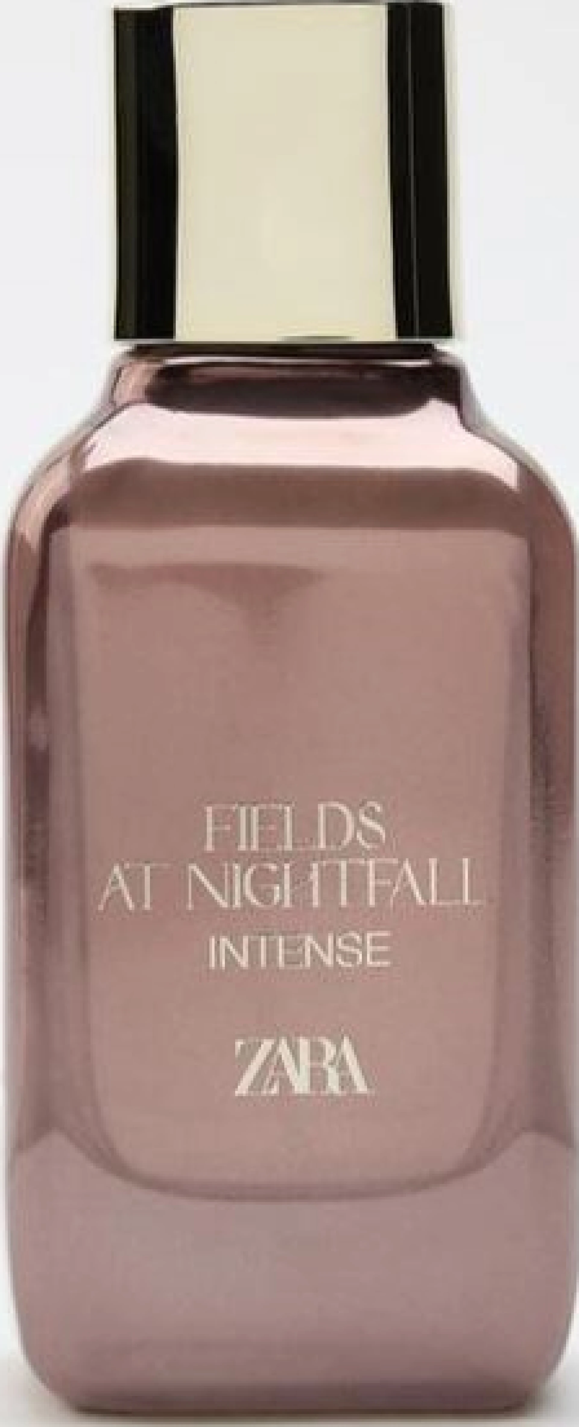 Zara Fields at Nightfall Intense