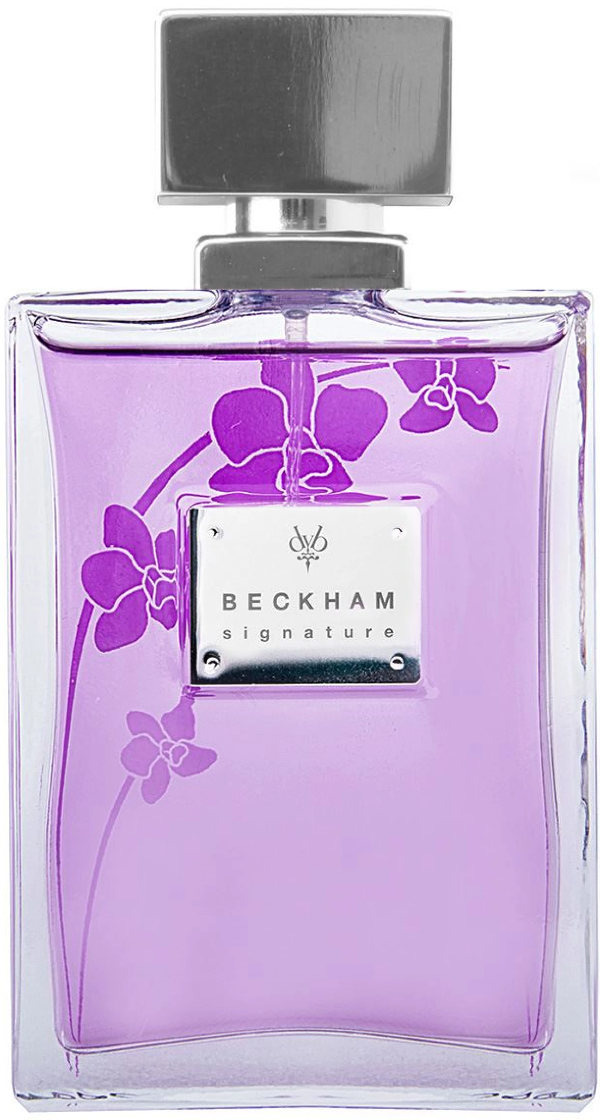 David Beckham Signature for Her EDT