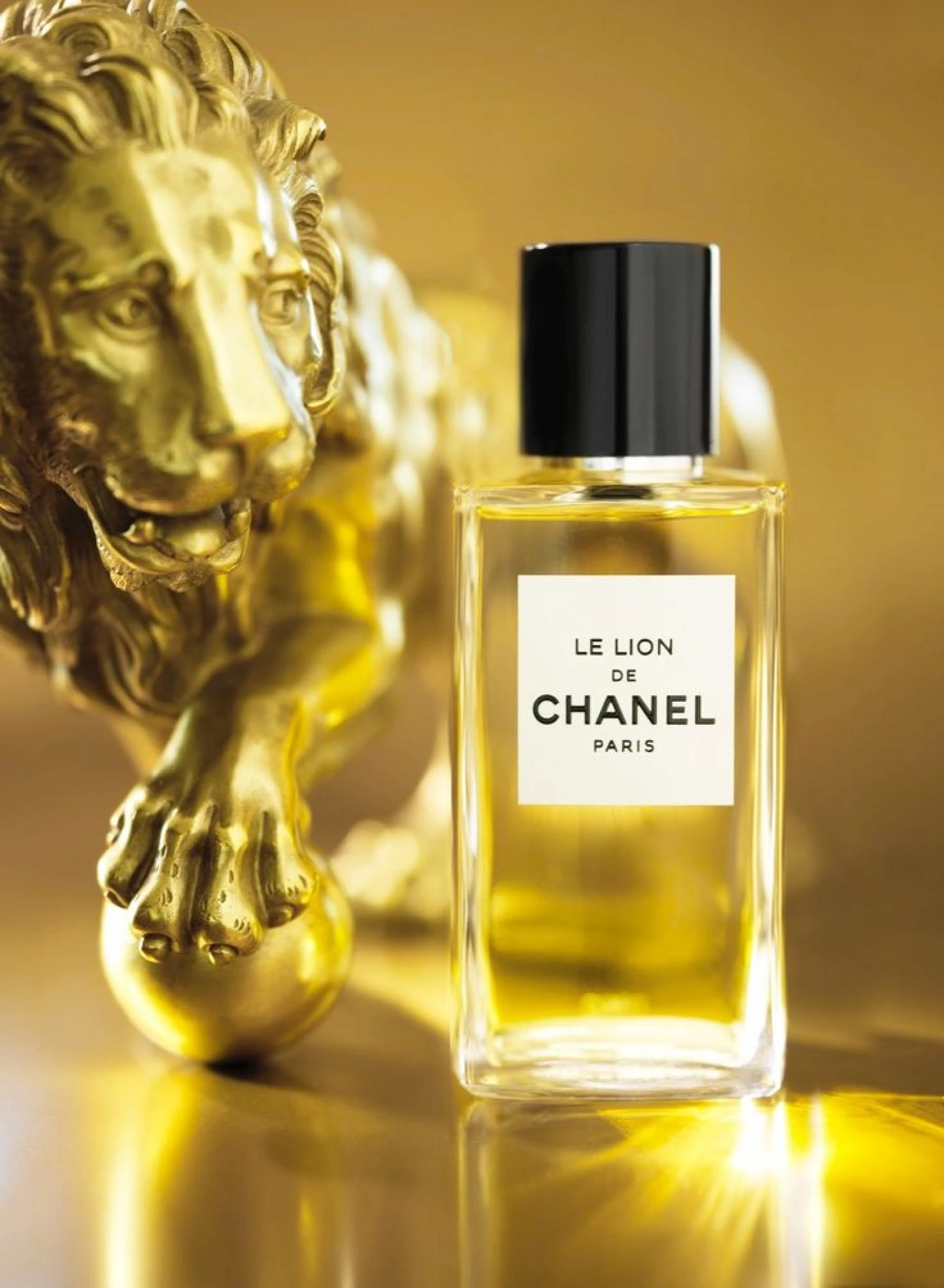 Chanel Le Lion fújós minta