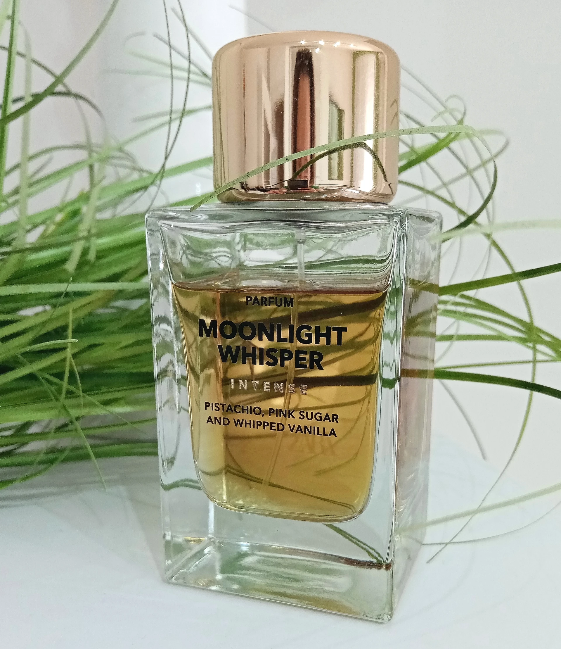 Zara Moonlight Whisper INTENSE