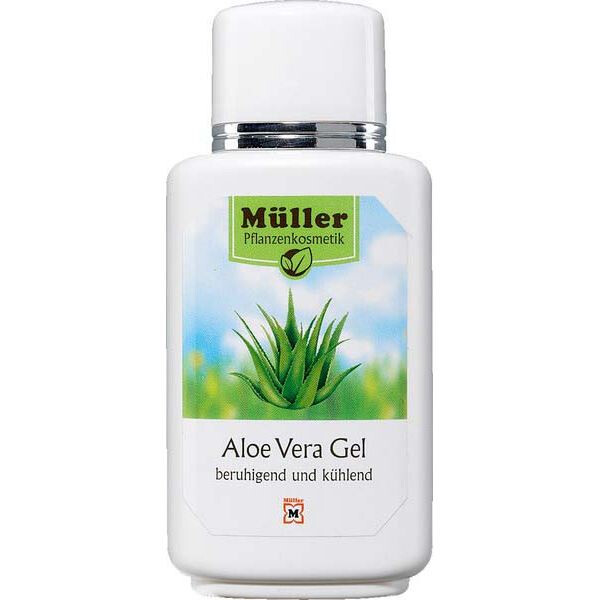 aloe vera planta Aloe Vera - Medicinal Aloe Plant