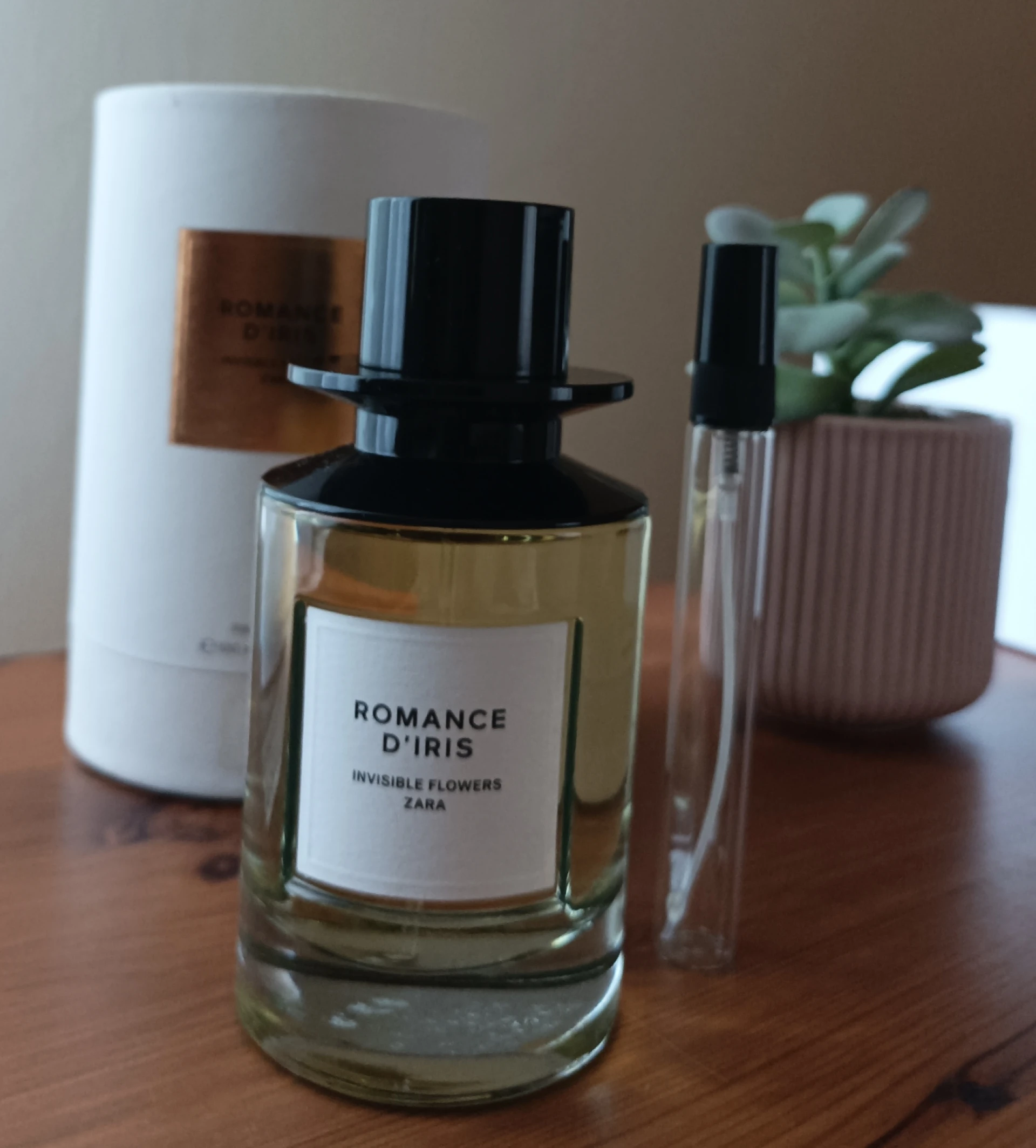 Zara Romance D'Iris