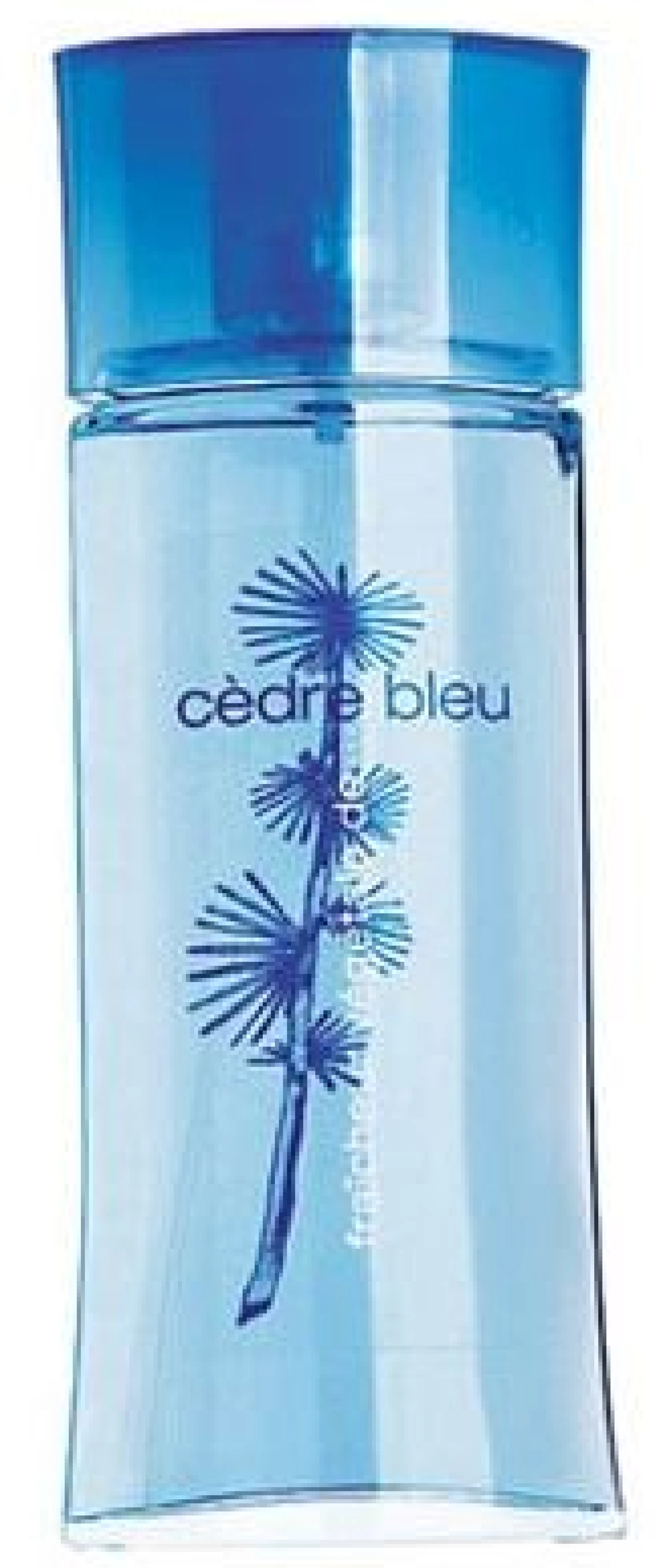 Yves Rocher Fraicheur Végétale Cédre Bleu EDC
