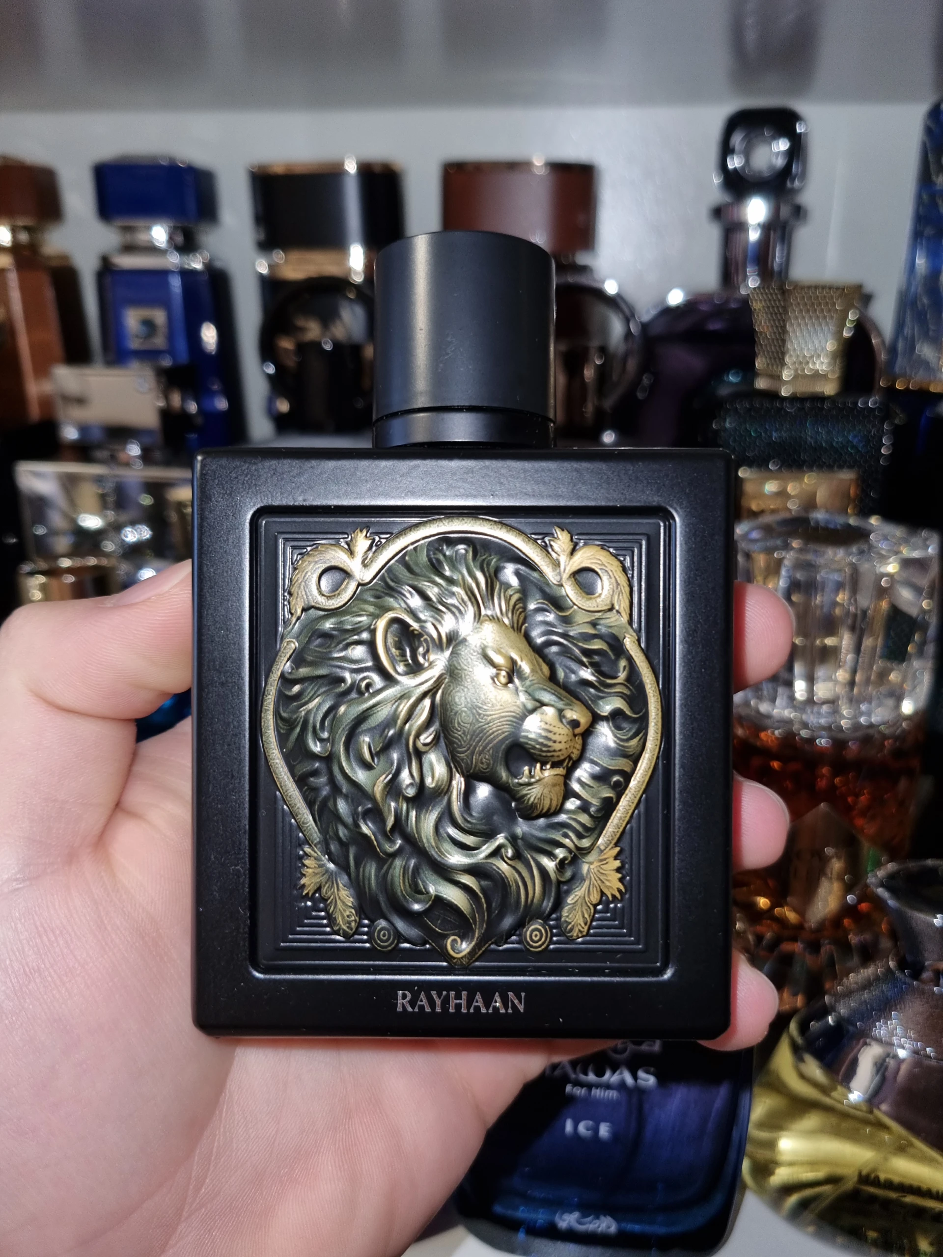 Rayhaan – Lion Dekant