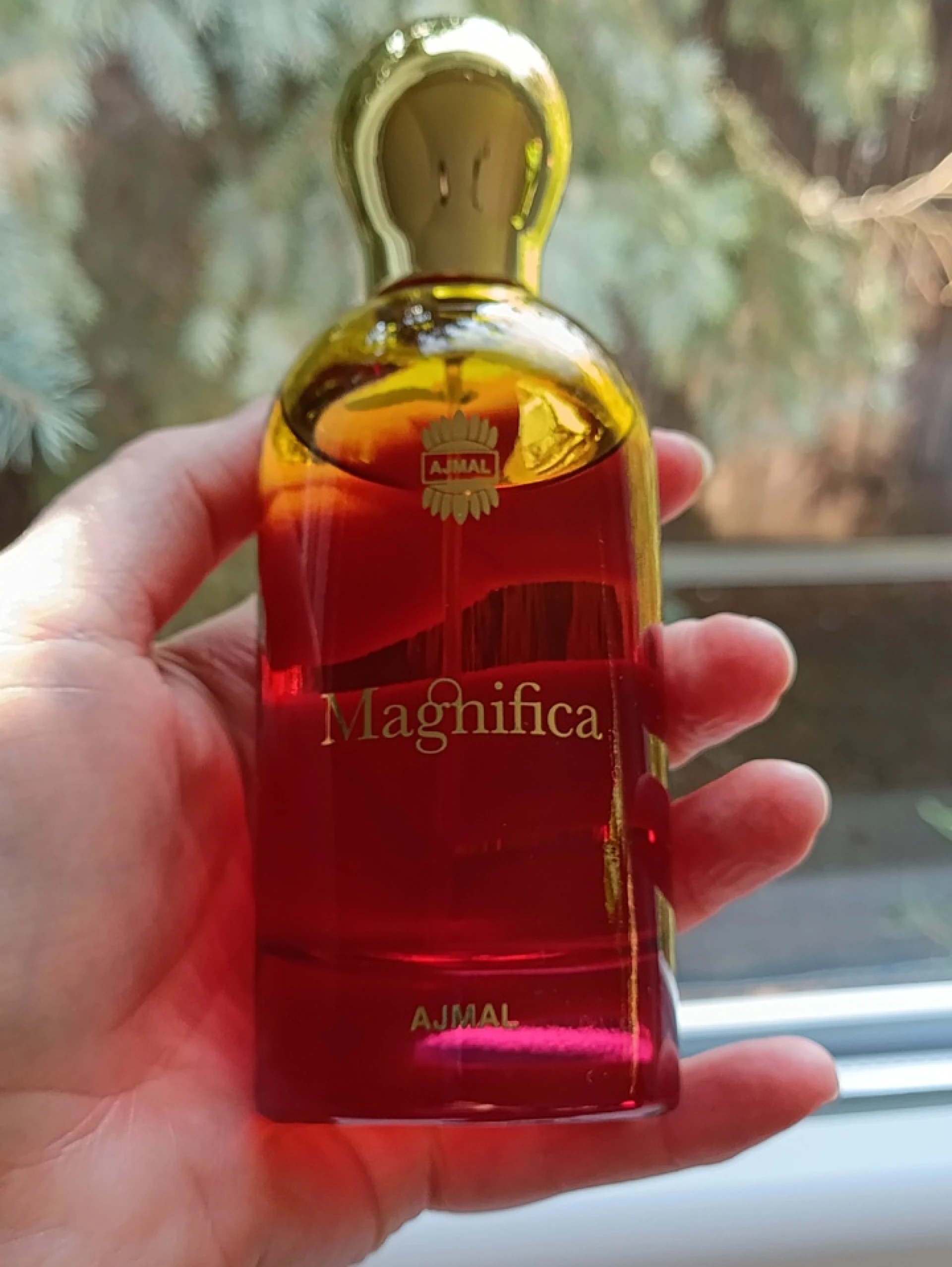 Ajmal Magnifica EDP