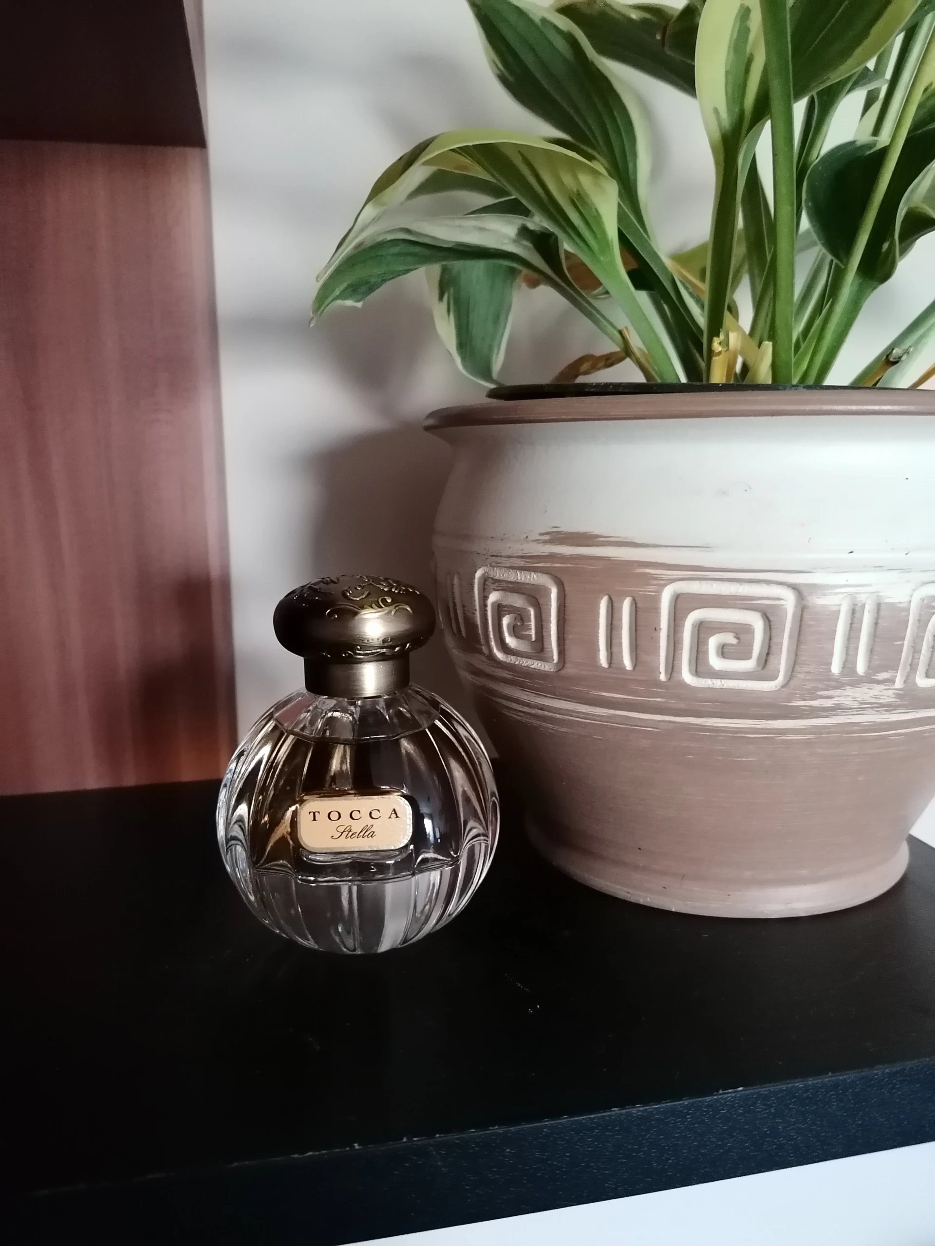🧪Ritka! Tocca - Stella