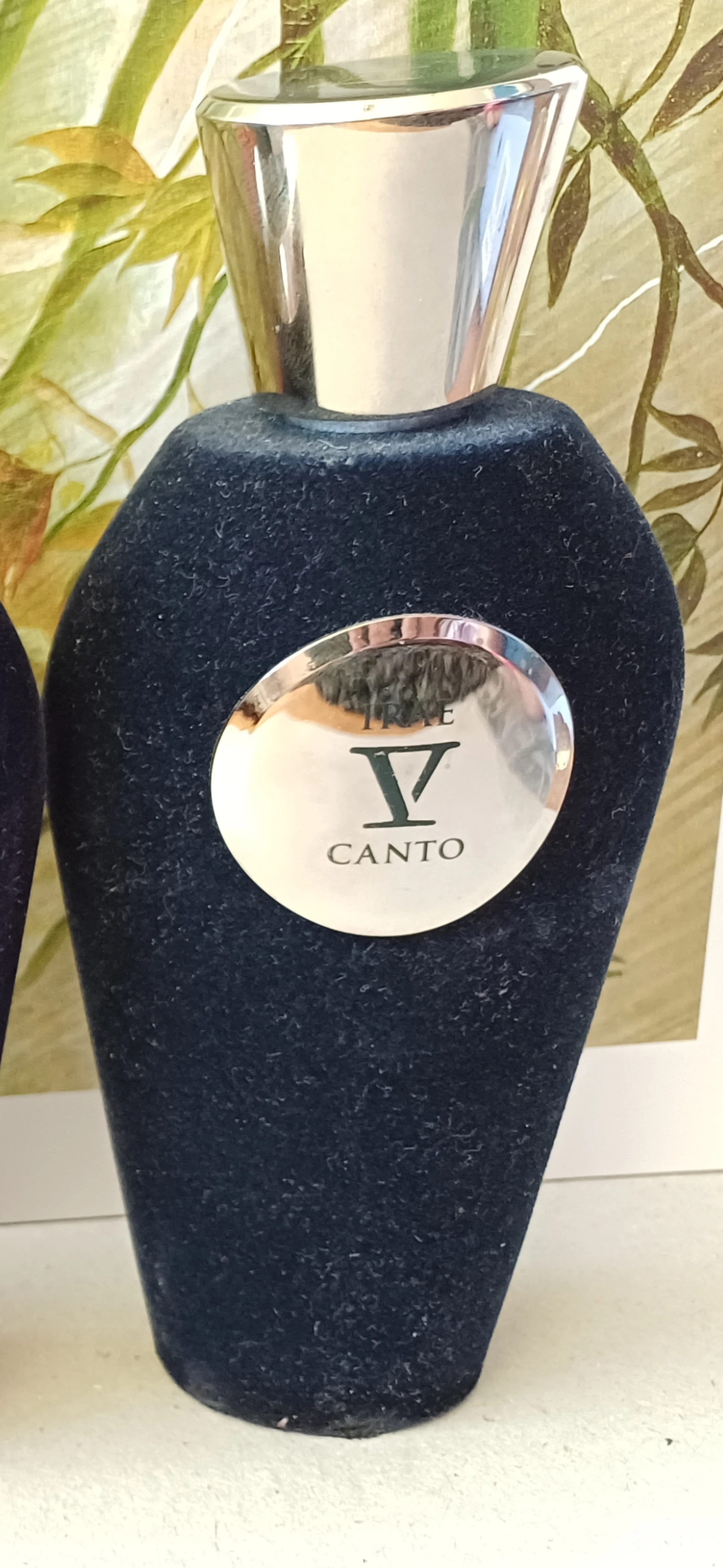 Irae V Canto
