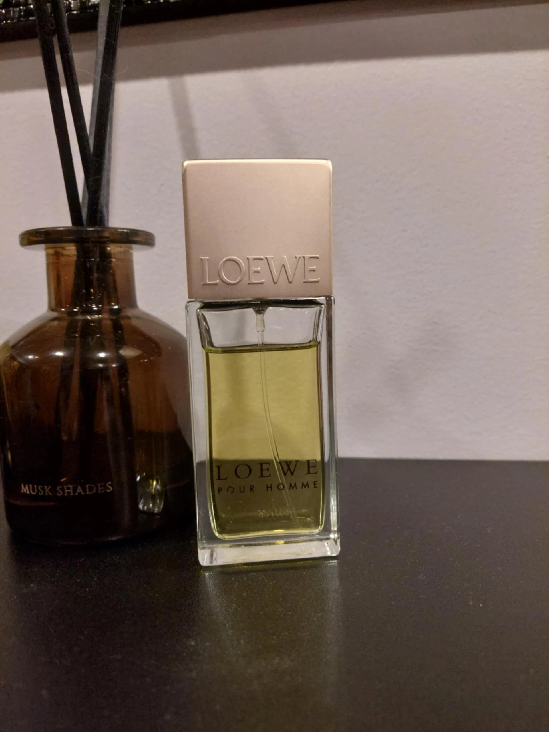 Loewe Pour Homme EDT