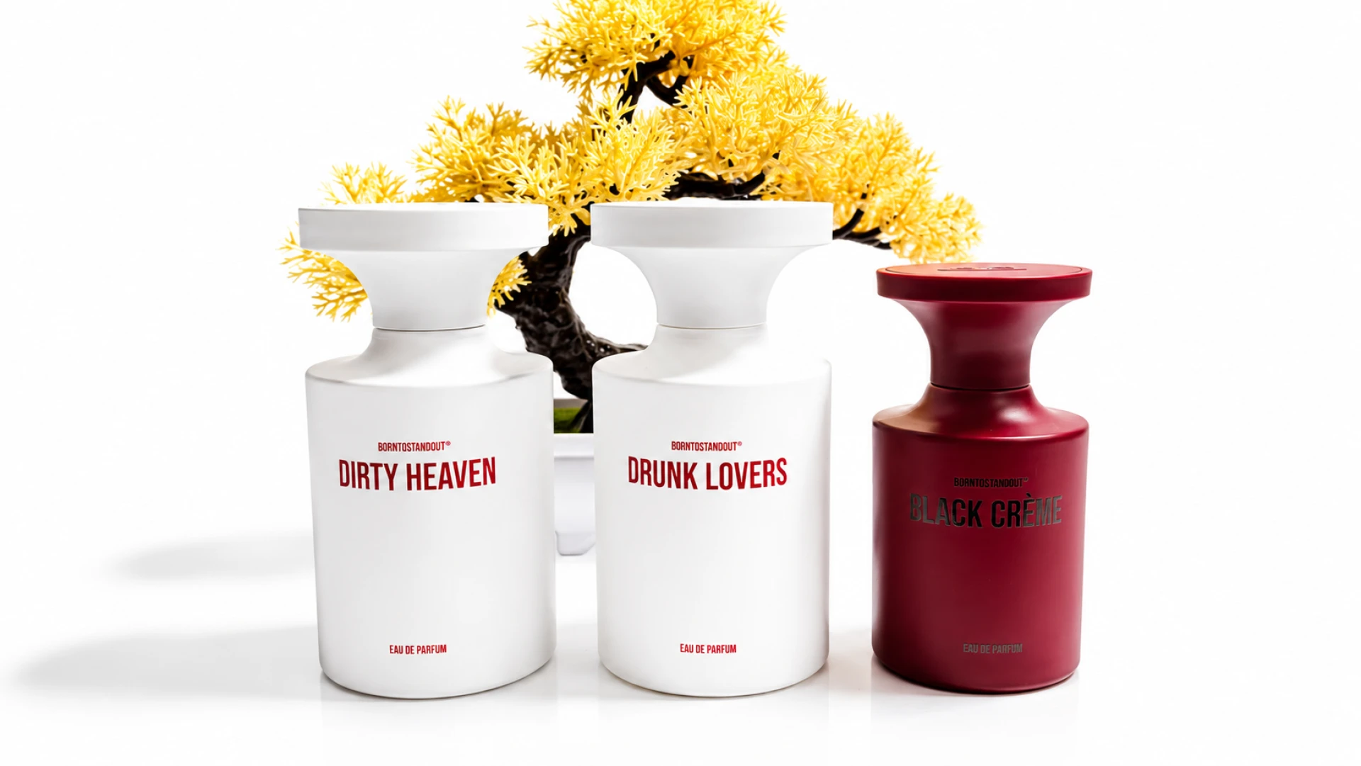 Borntostandout Dirty Heaven EDP