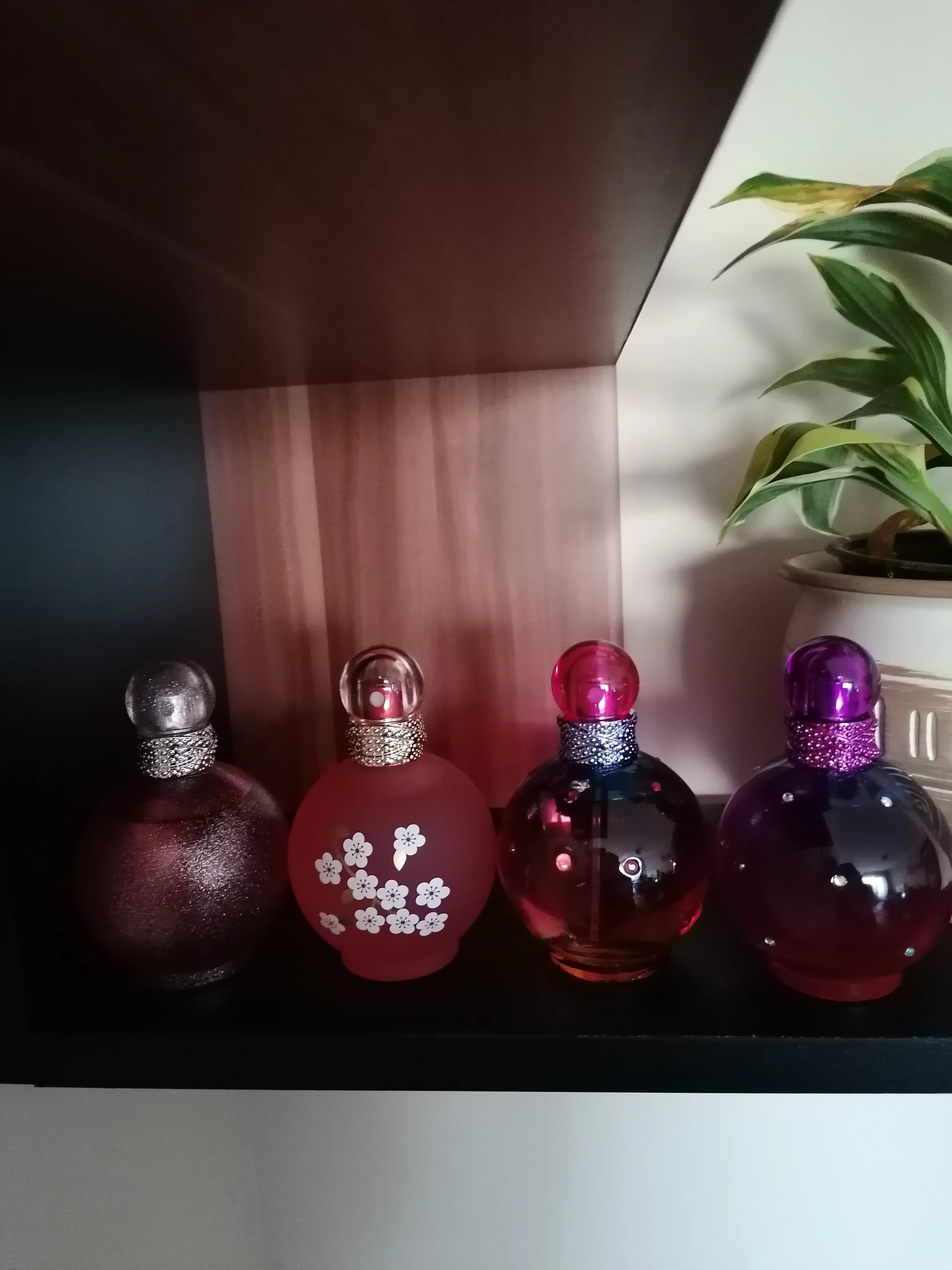 🧪 Britney Spears - Fantasy in Bloom