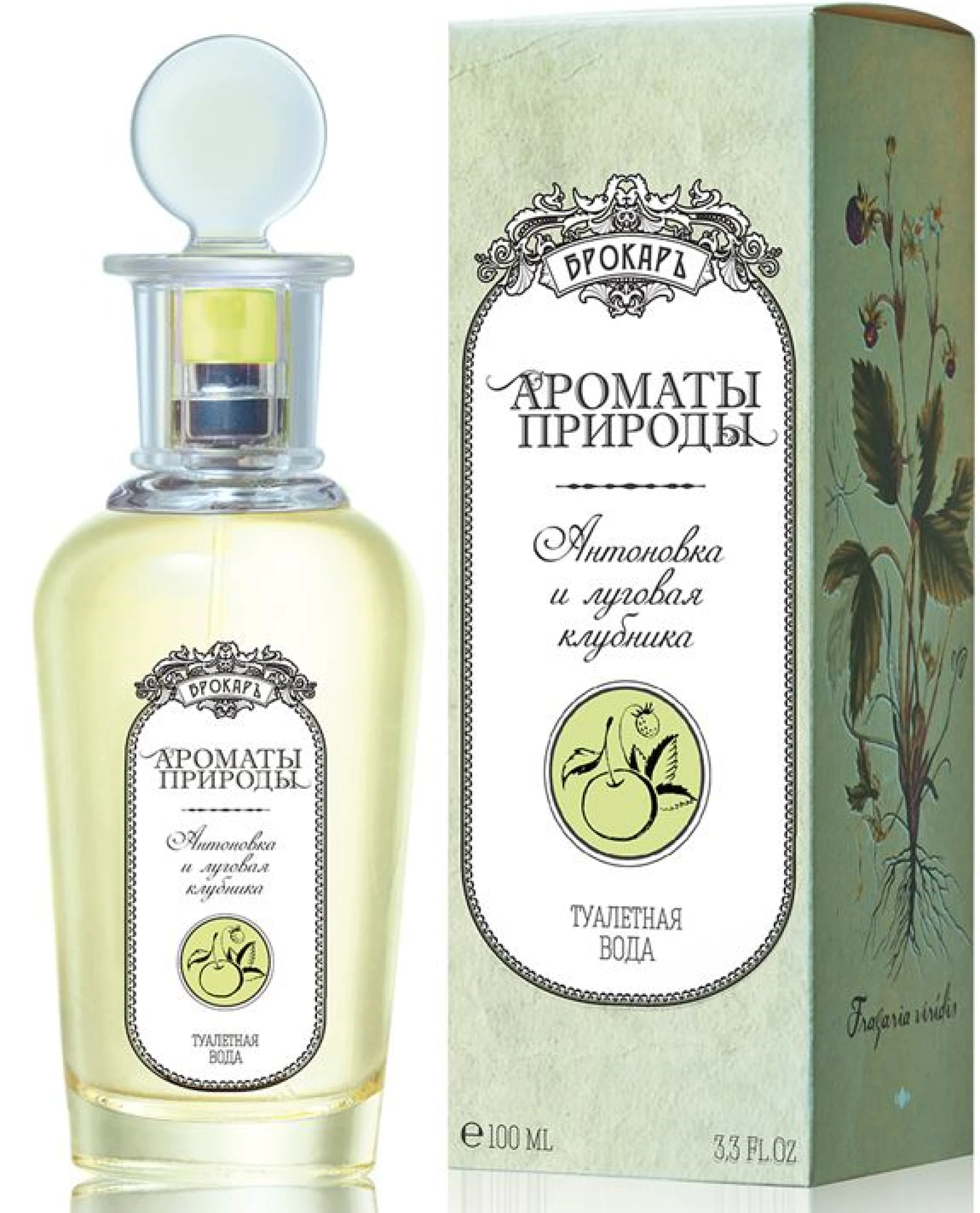 Brocard Tomato Leaves & Black Currant EDT