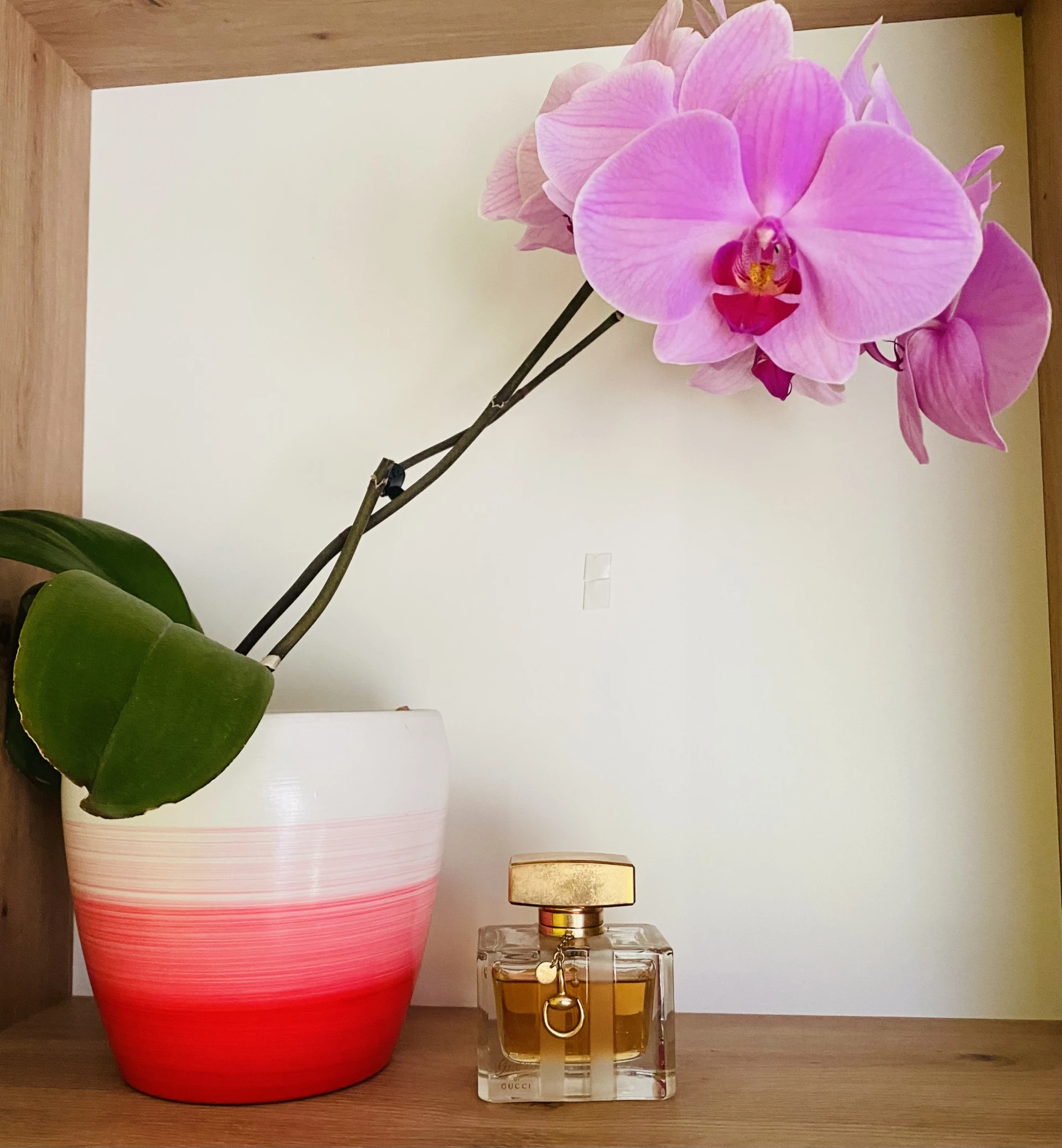 Olcsóbb lett! Üvegében is✨Gucci by Gucci EDT