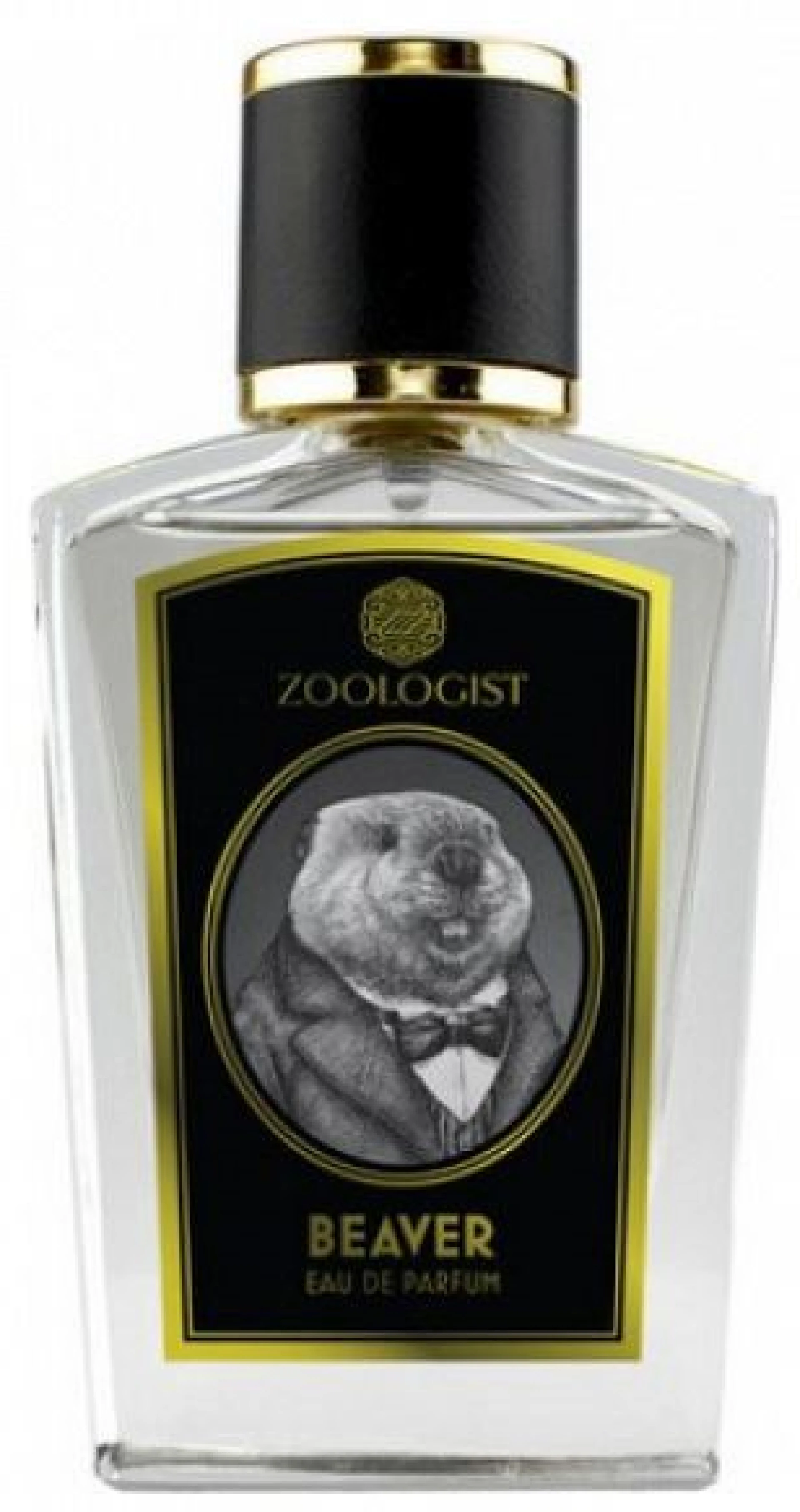 Zoologist Beaver