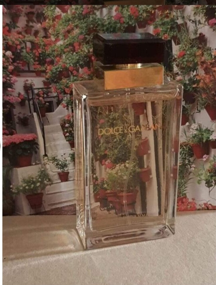 D&G pour femme